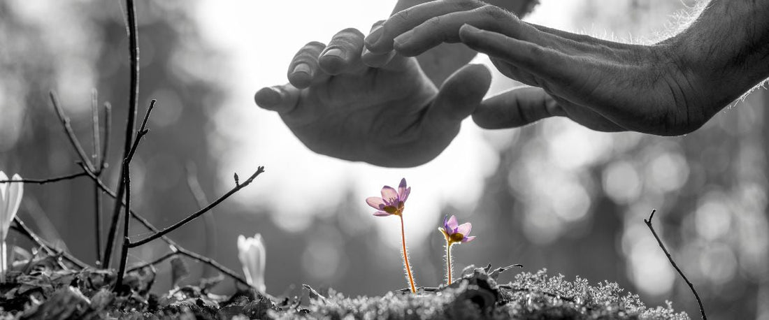 Nurture Your Personal Brand