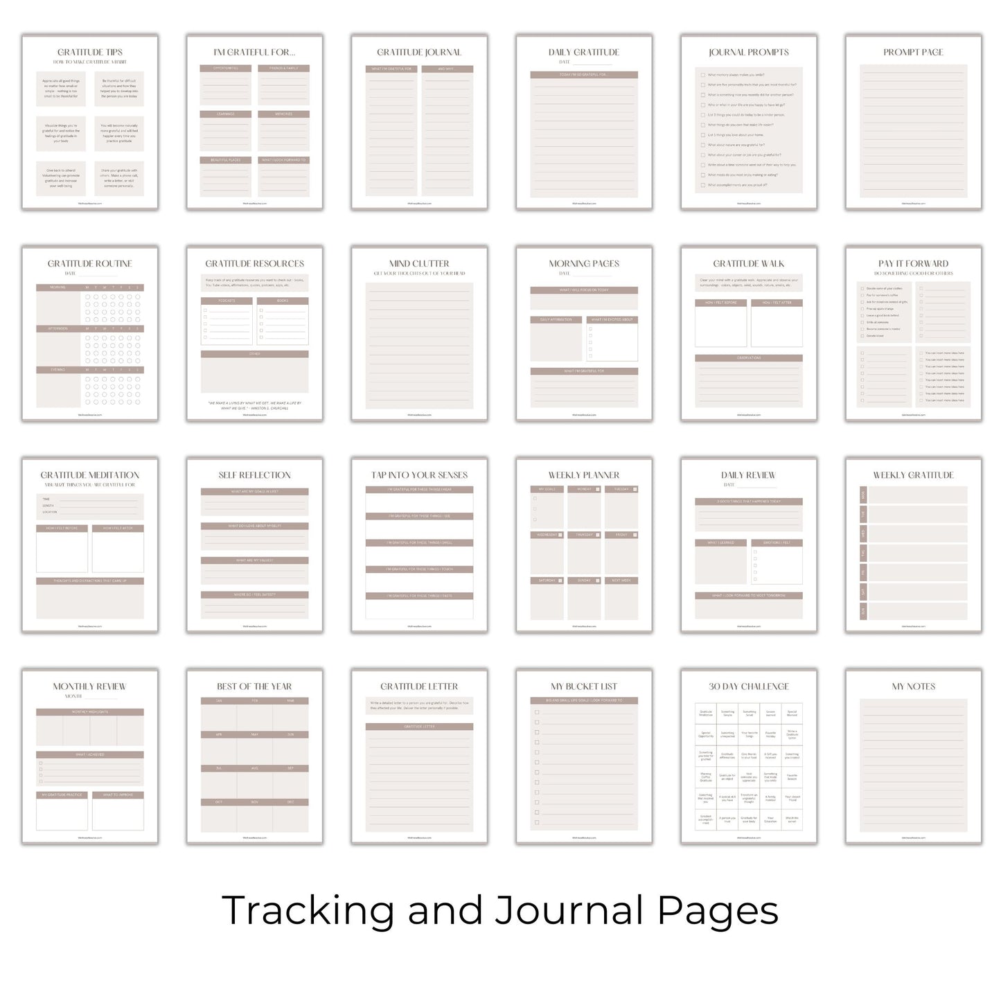 Daily Gratitude Journal