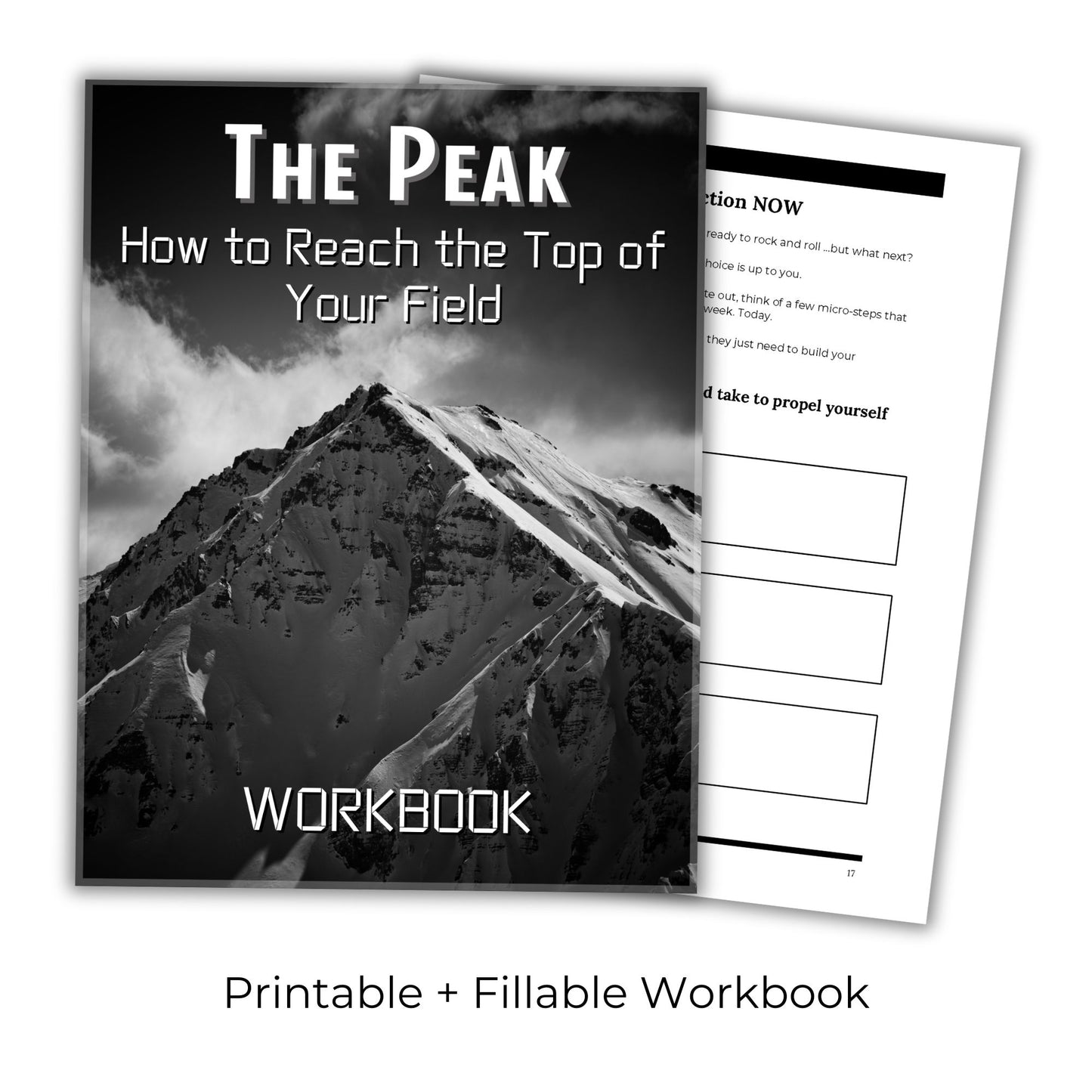 The Peak: How To Reach The Top Of Your Field