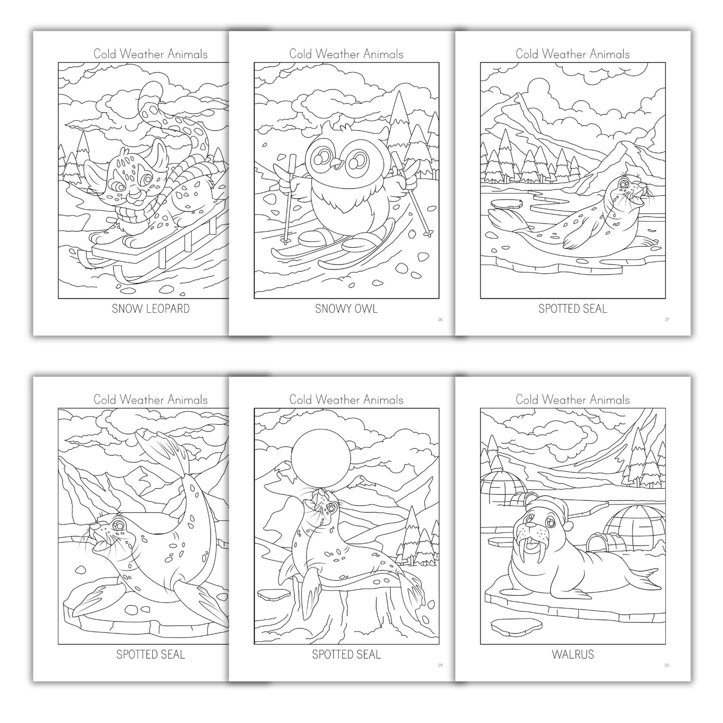 Cold Weather Animals Coloring Books