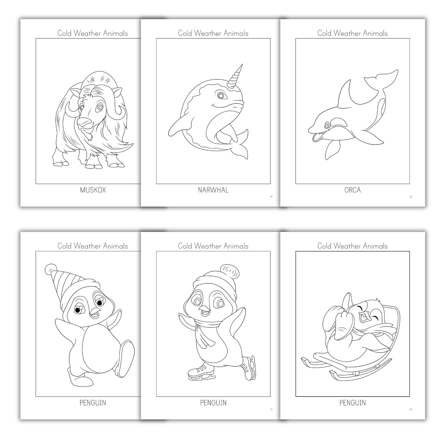 Cold Weather Animals Coloring Books