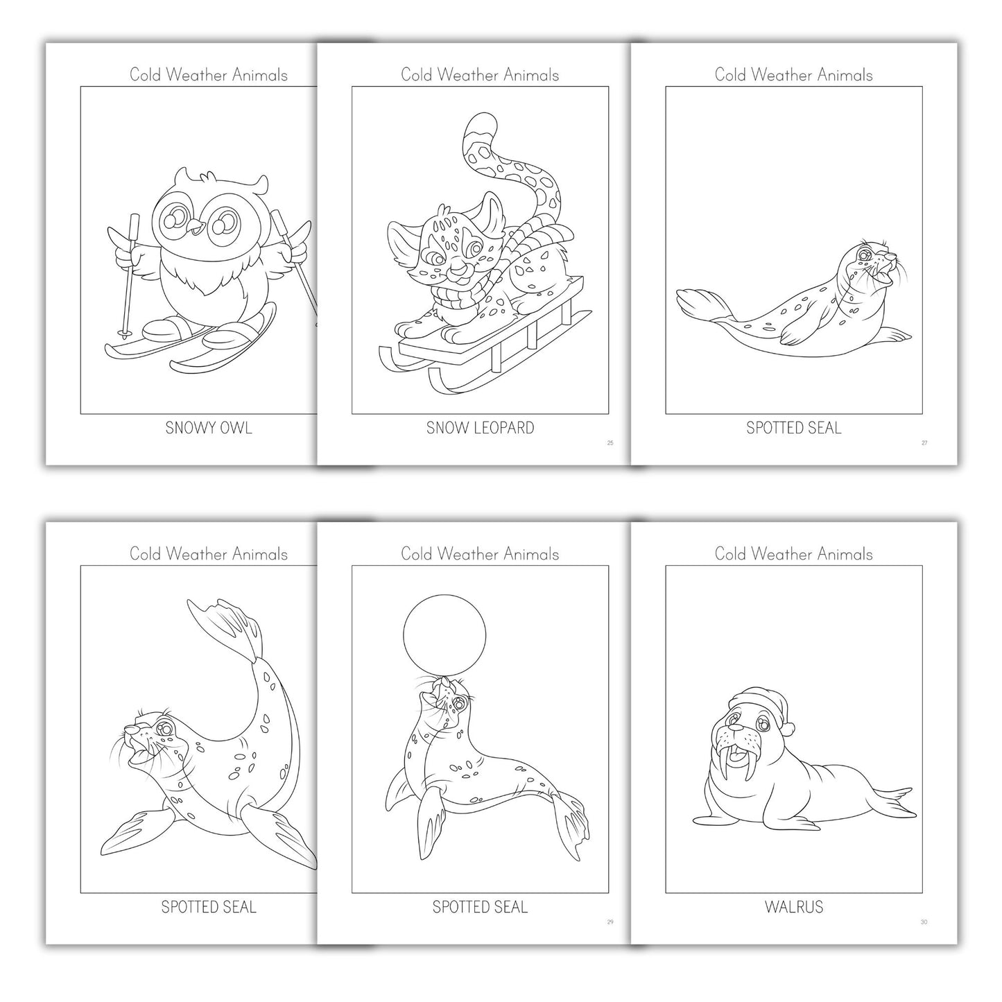 Cold Weather Animals Coloring Books