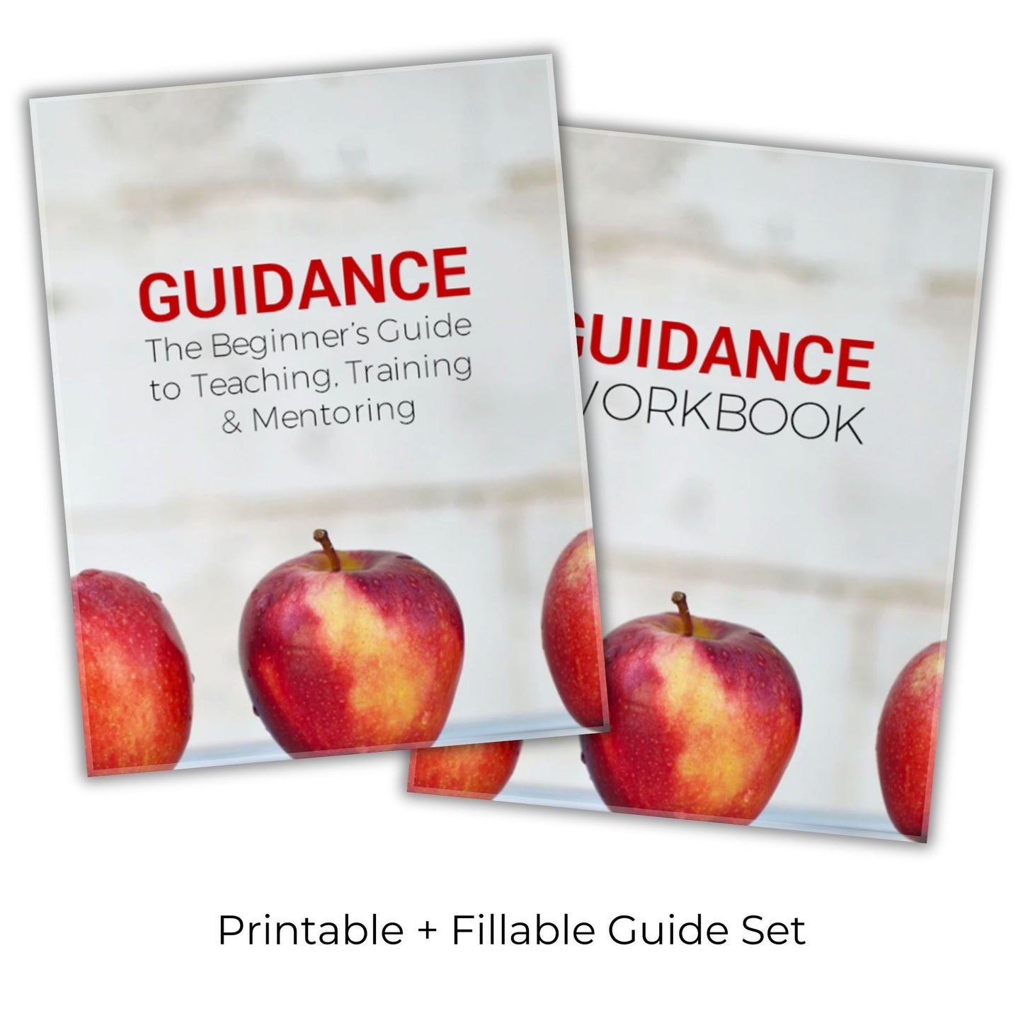 Guidance: The Beginner’s Guide to Teaching, Training and Mentoring