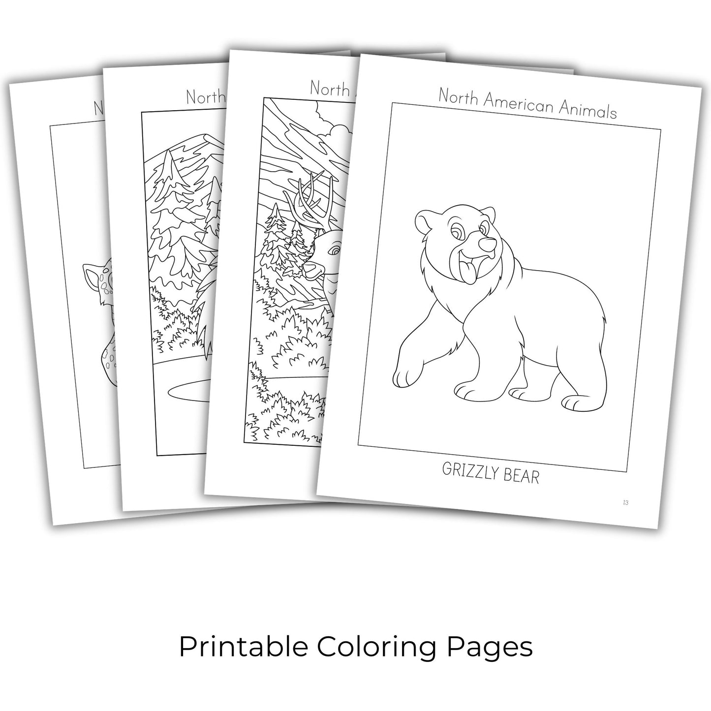North American Animals Coloring Books