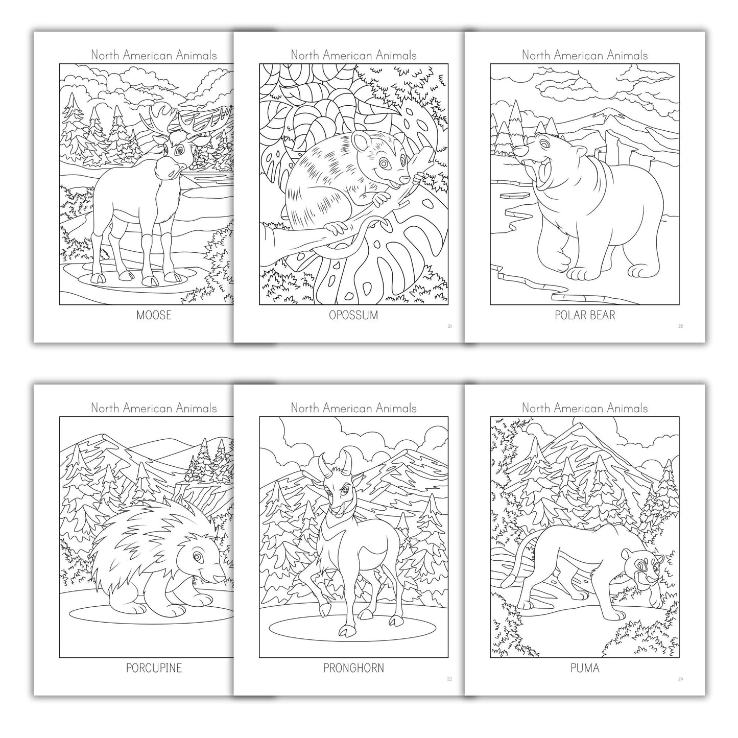 North American Animals Coloring Books