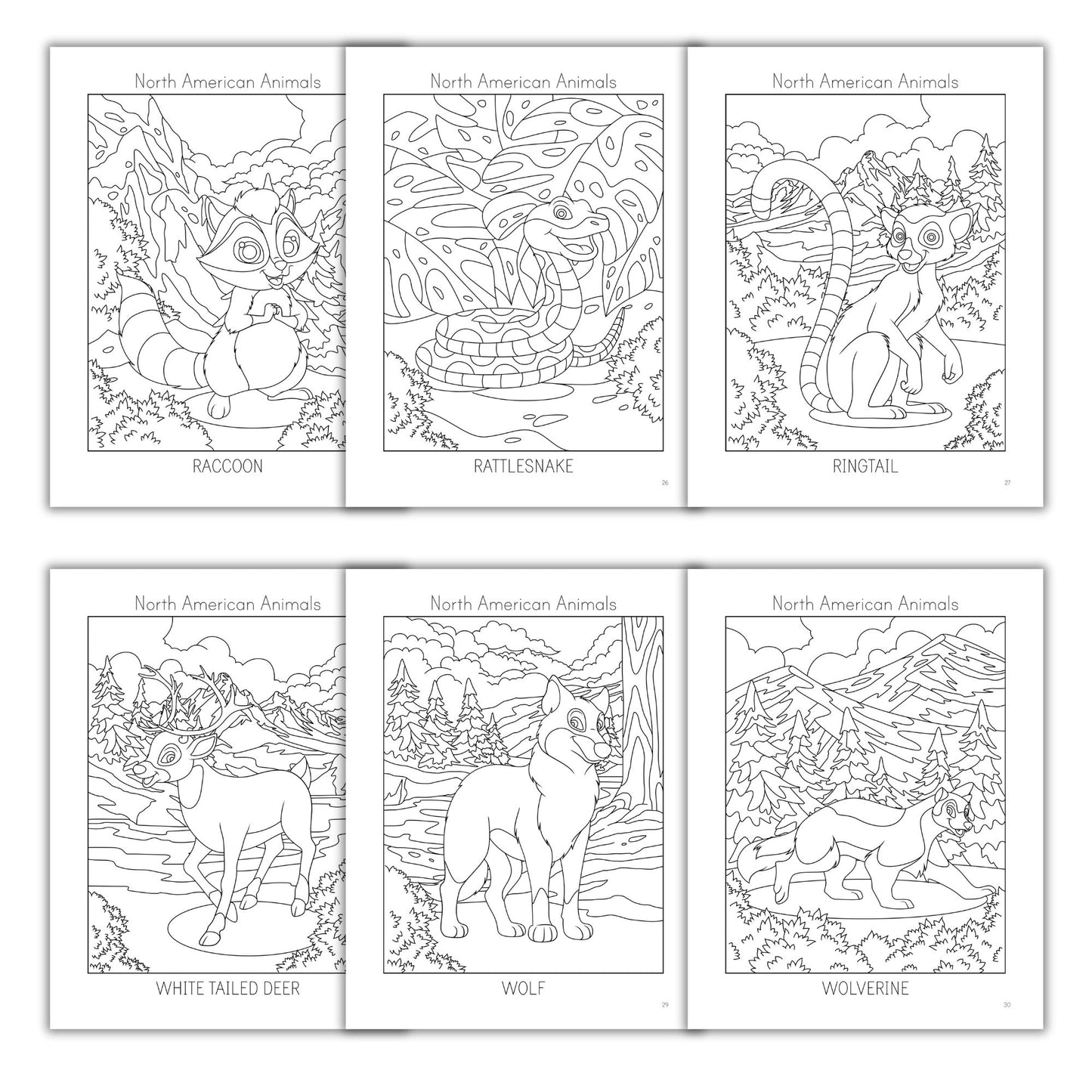 North American Animals Coloring Books