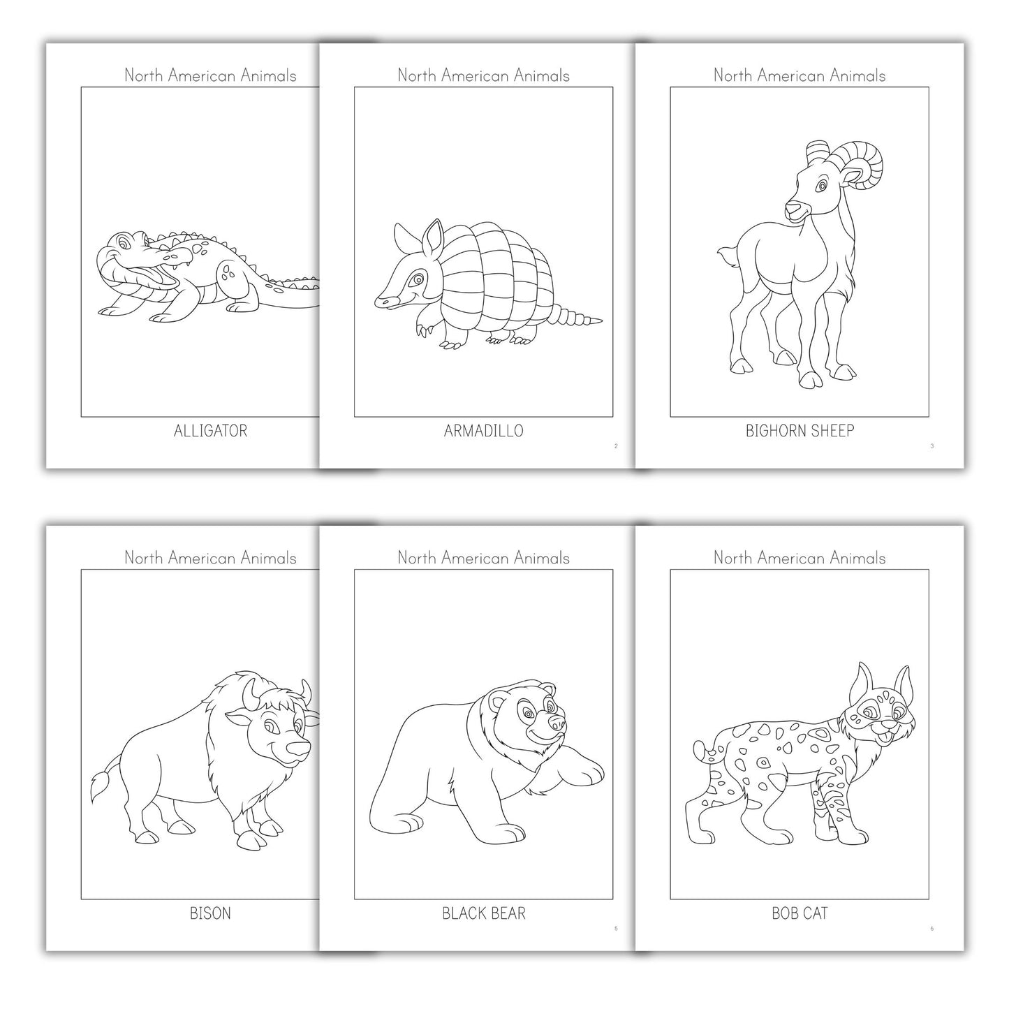 North American Animals Coloring Books