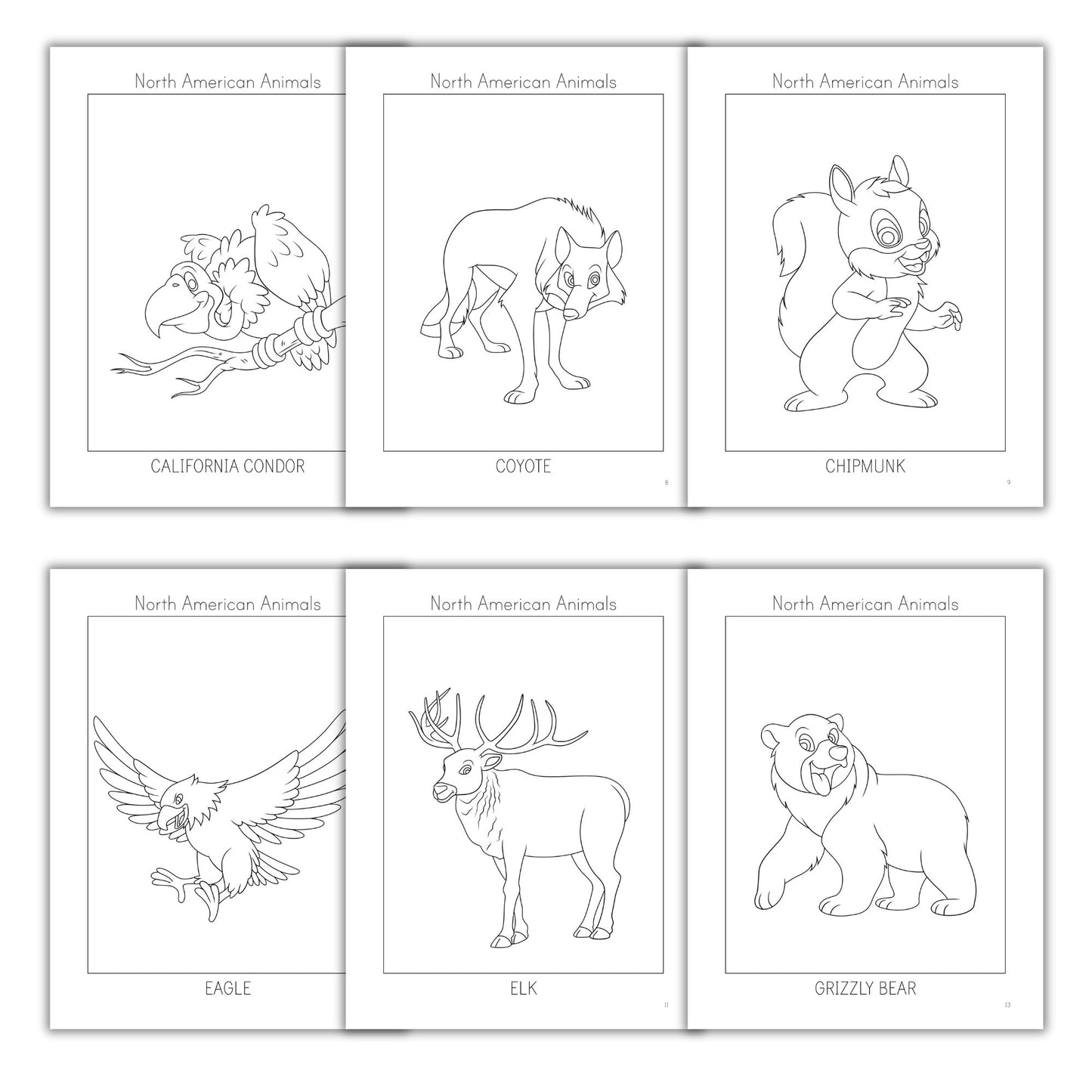 North American Animals Coloring Books