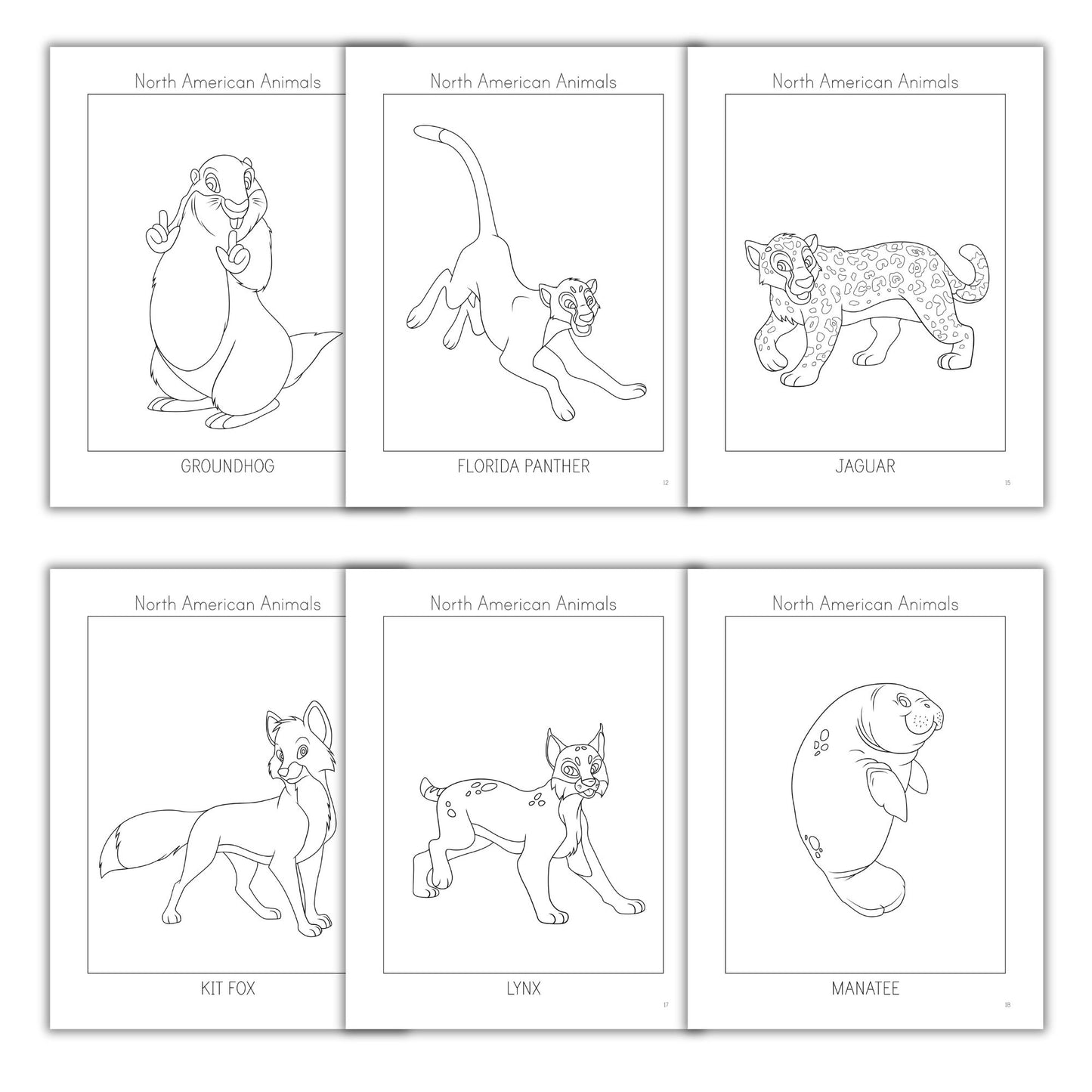 North American Animals Coloring Books