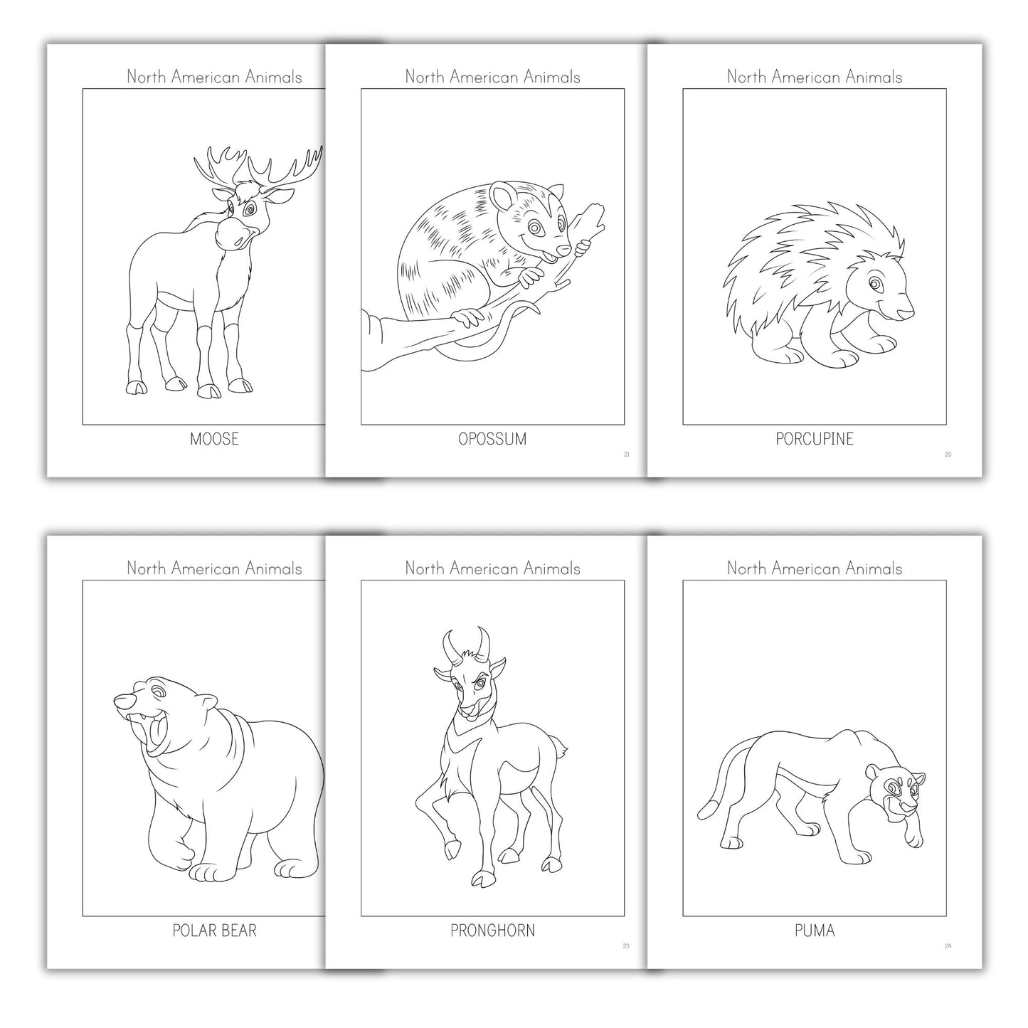 North American Animals Coloring Books