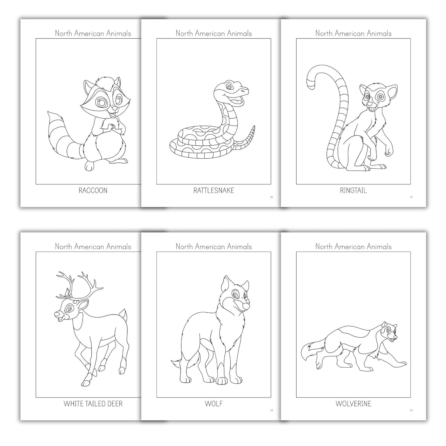 North American Animals Coloring Books