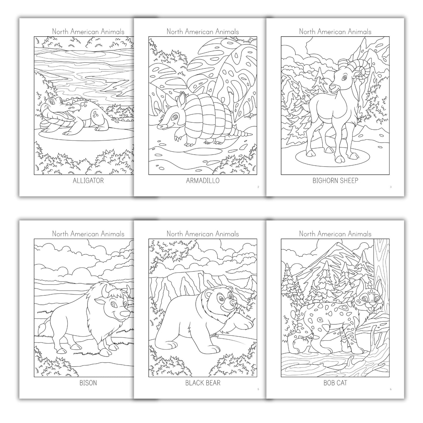 North American Animals Coloring Books
