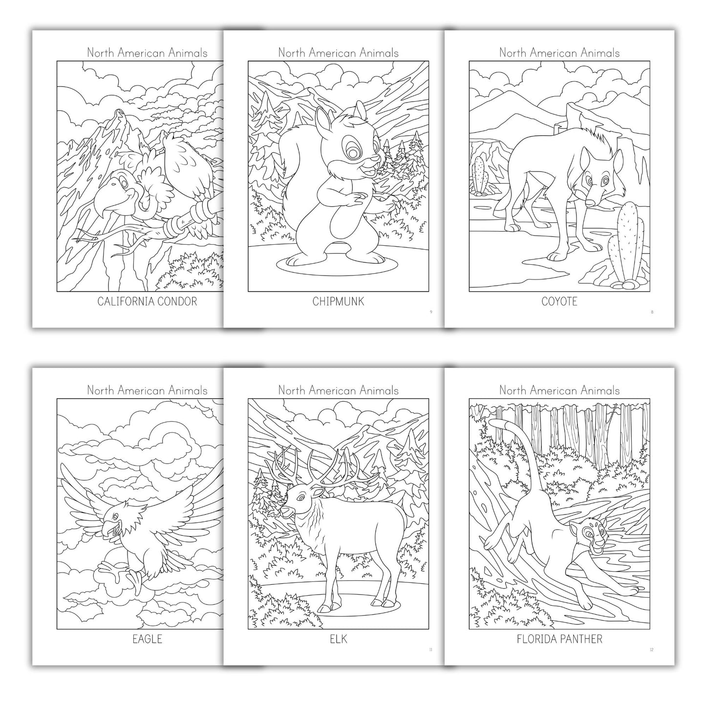 North American Animals Coloring Books