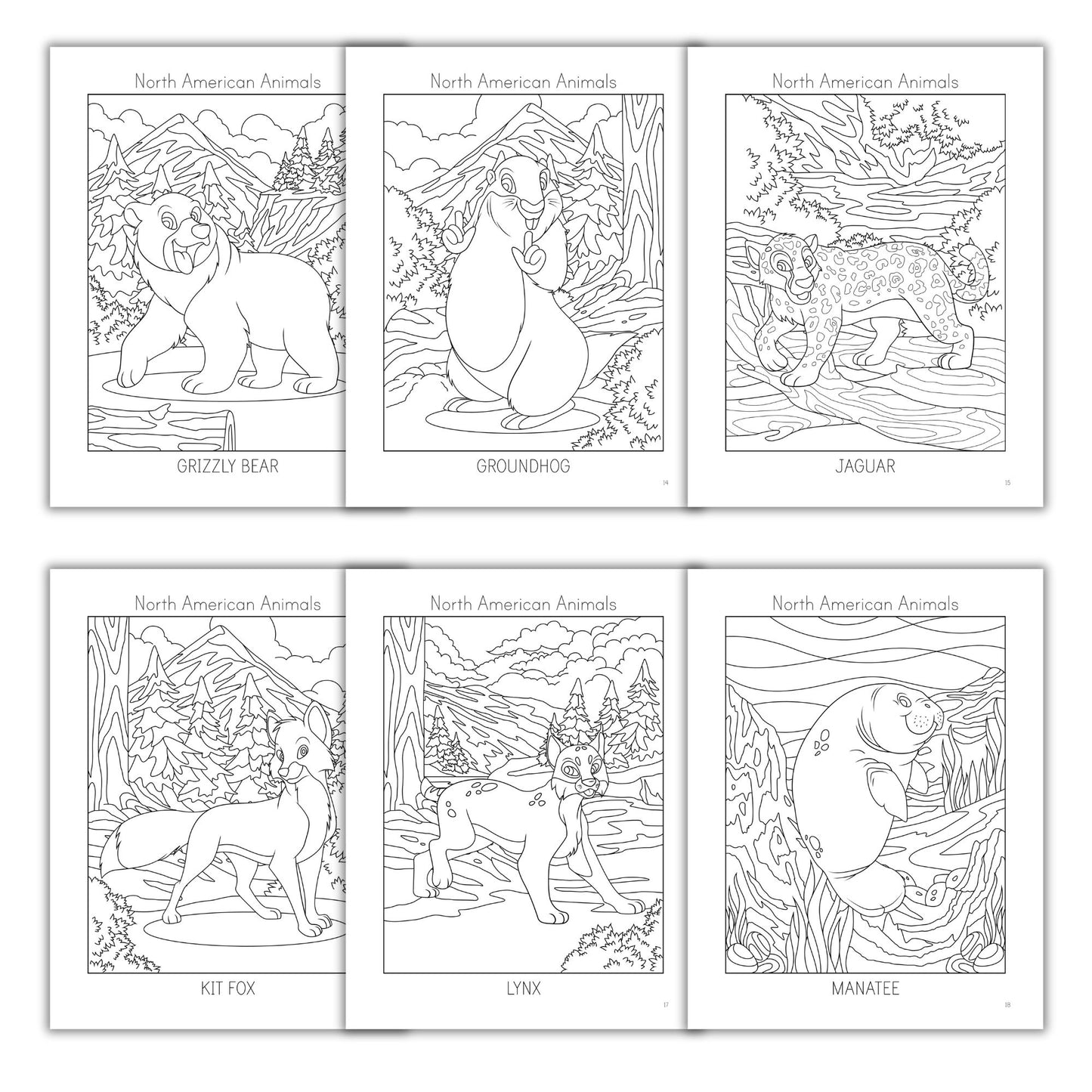 North American Animals Coloring Books