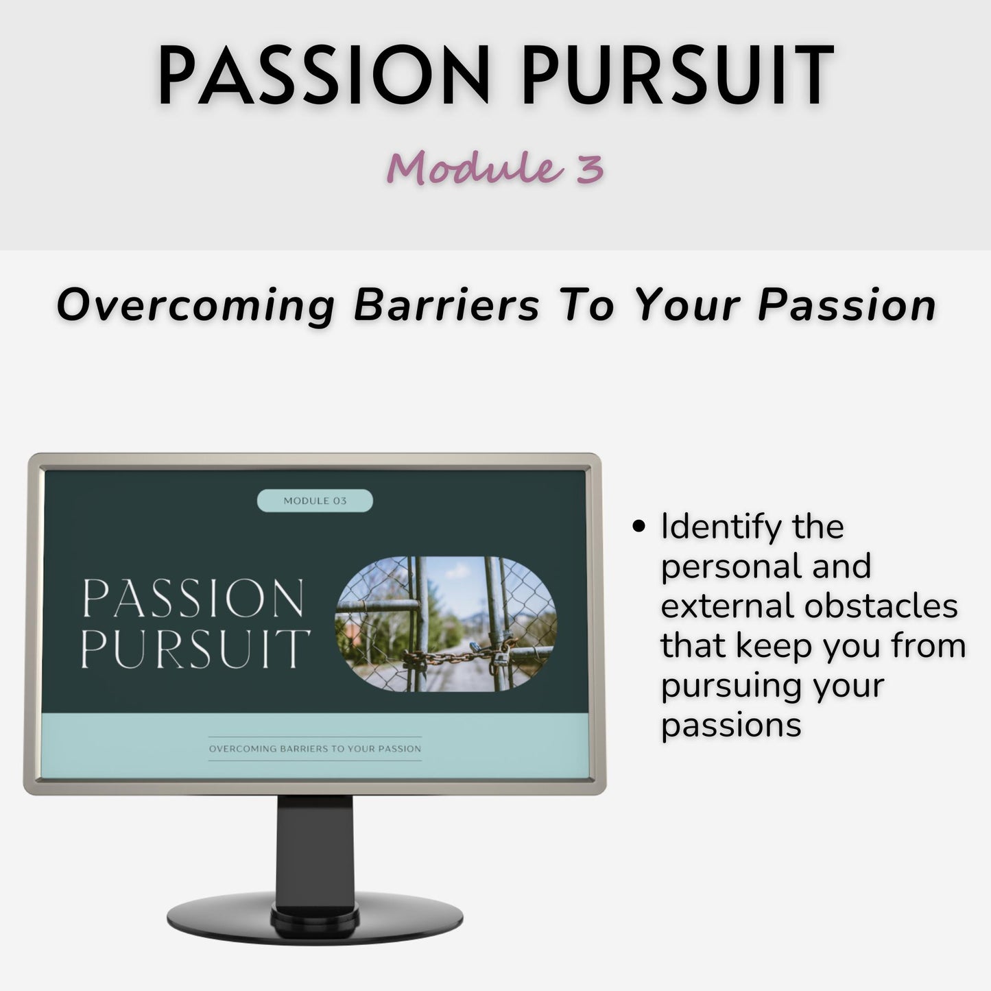 Passion Pursuit: Your Blueprint for Finding & Following Your Passions