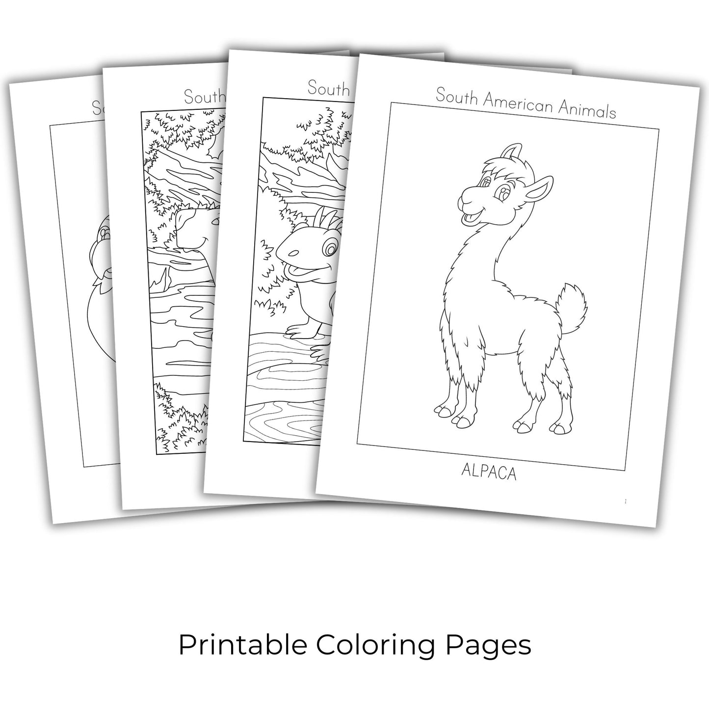 South American Animals Coloring Books