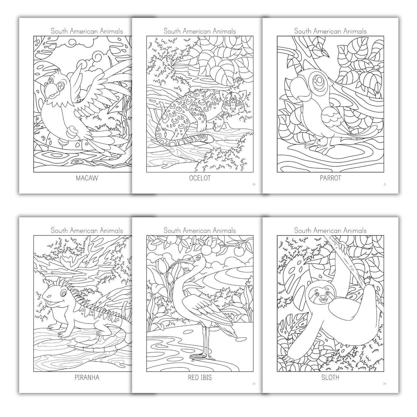 South American Animals Coloring Books