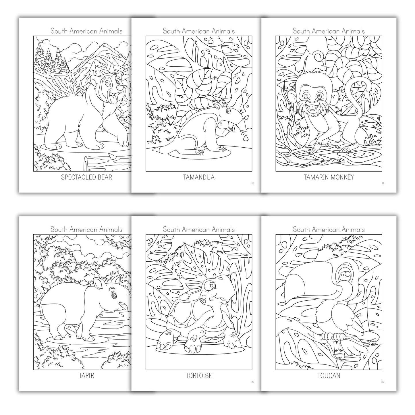 South American Animals Coloring Books