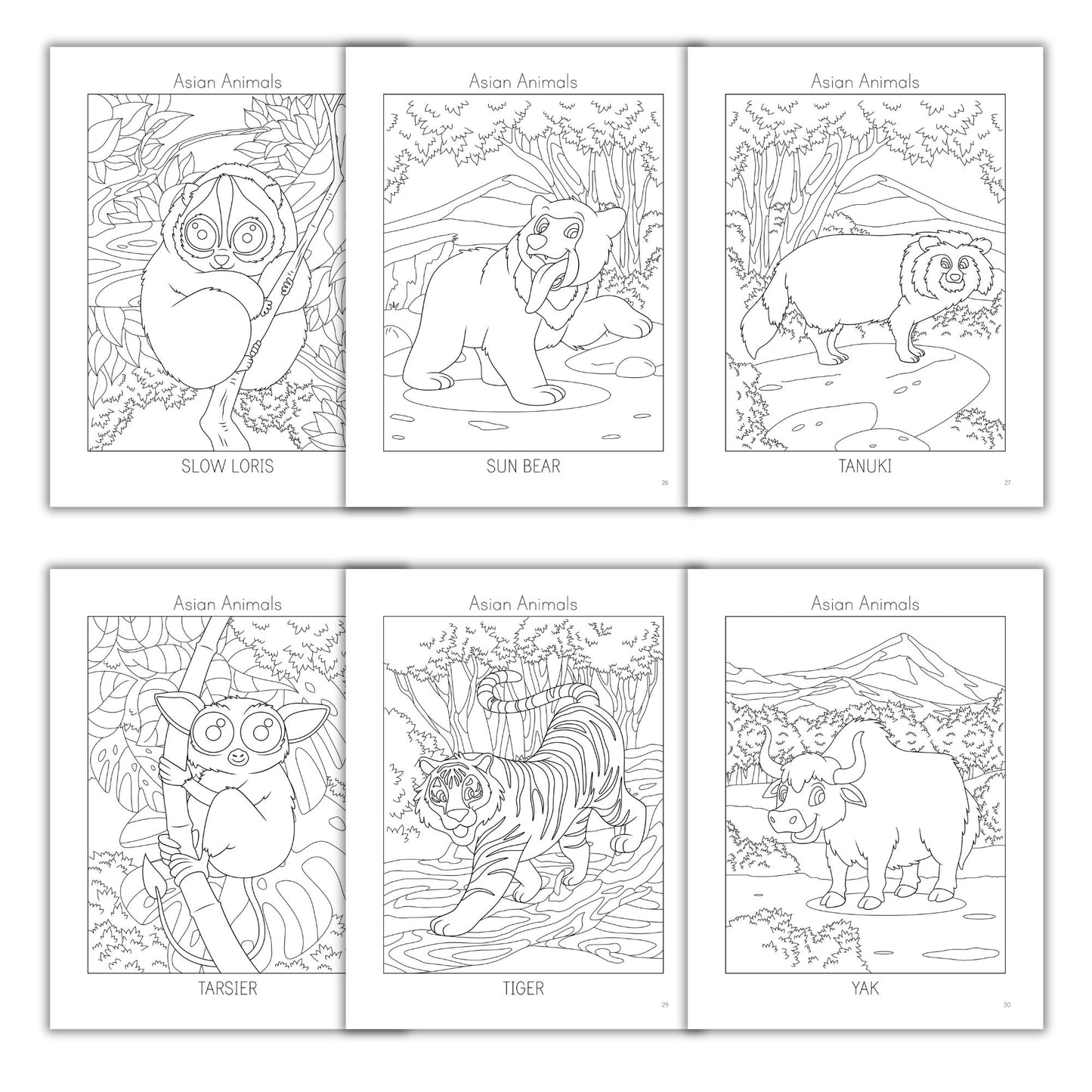 Asian Animals Coloring Books