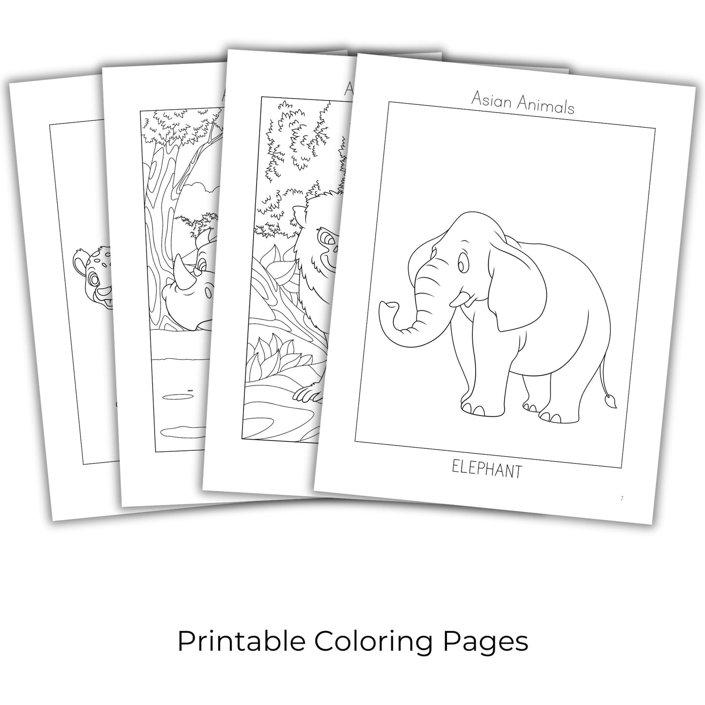 Asian Animals Coloring Books