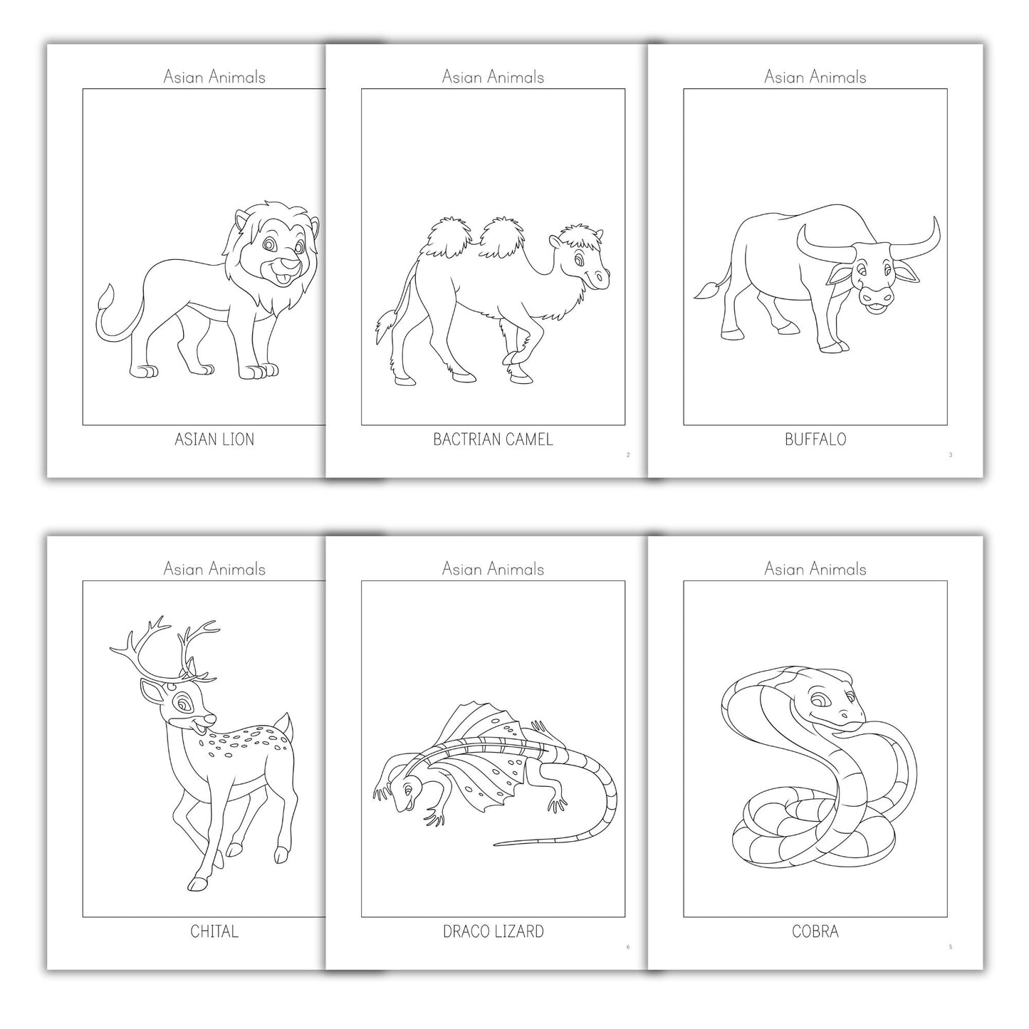 Asian Animals Coloring Books