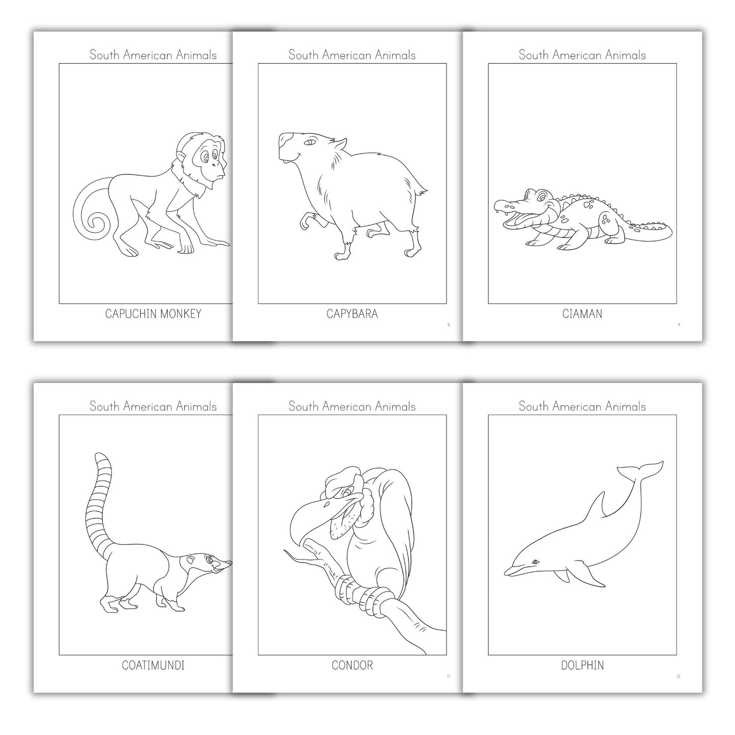 South American Animals Coloring Books