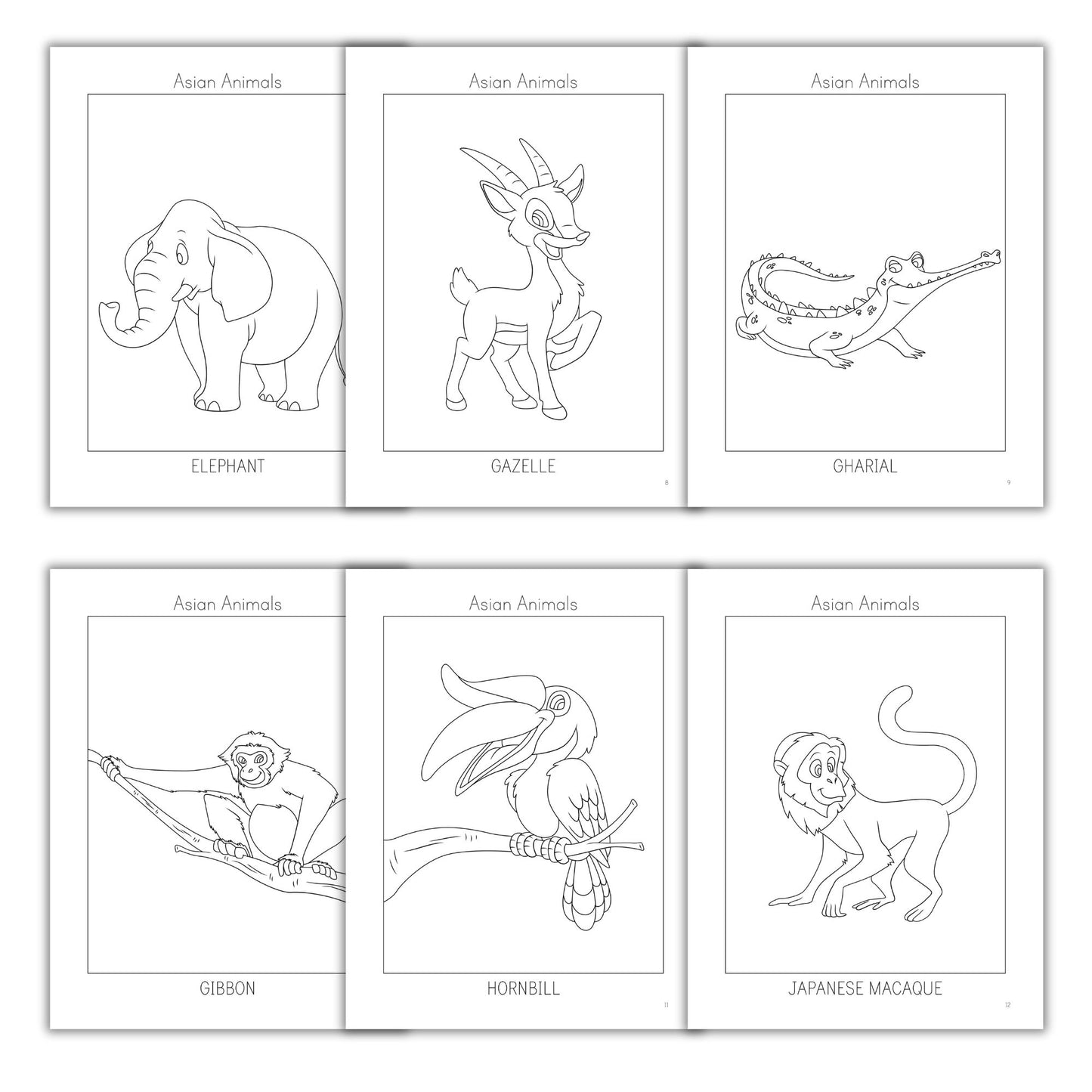 Asian Animals Coloring Books