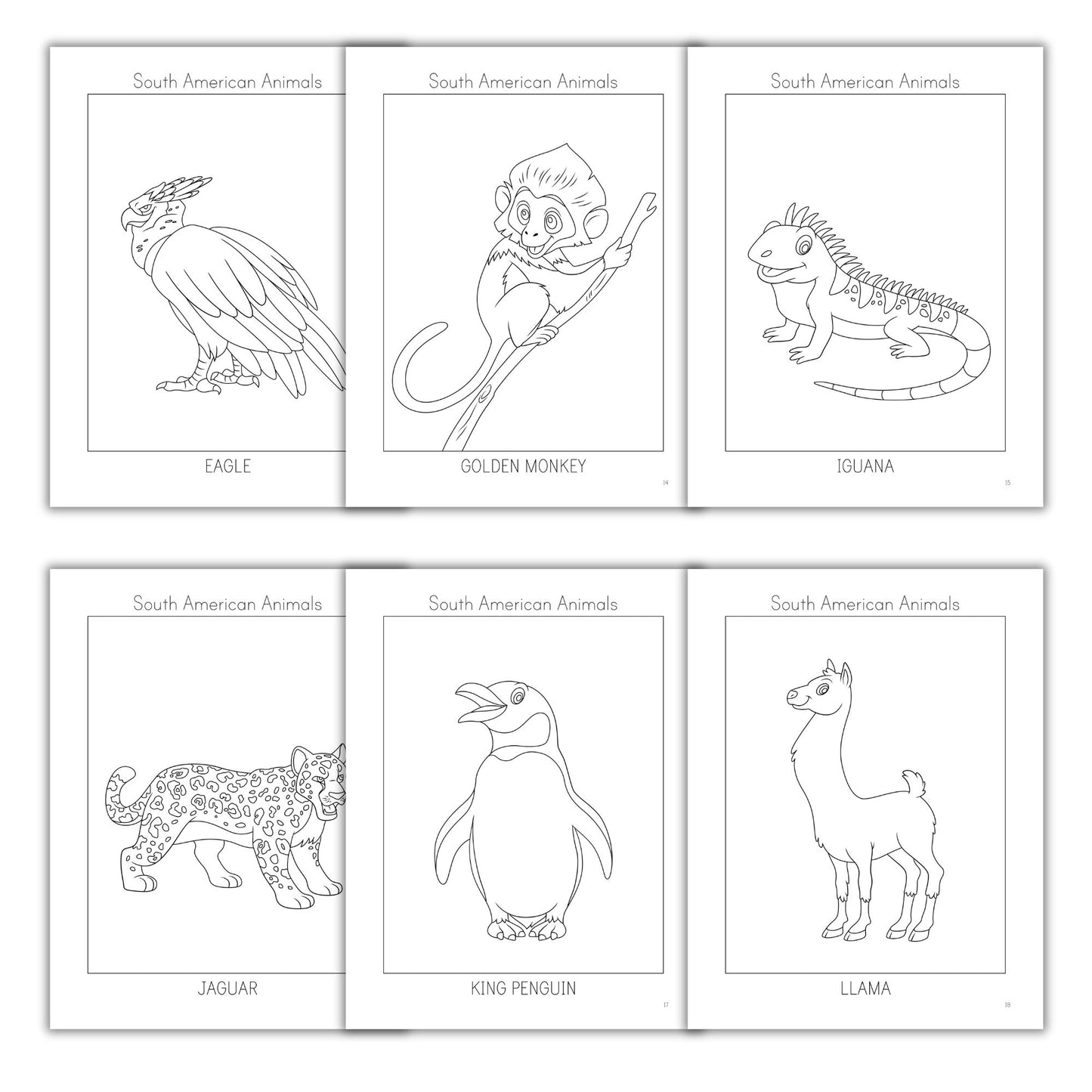 South American Animals Coloring Books