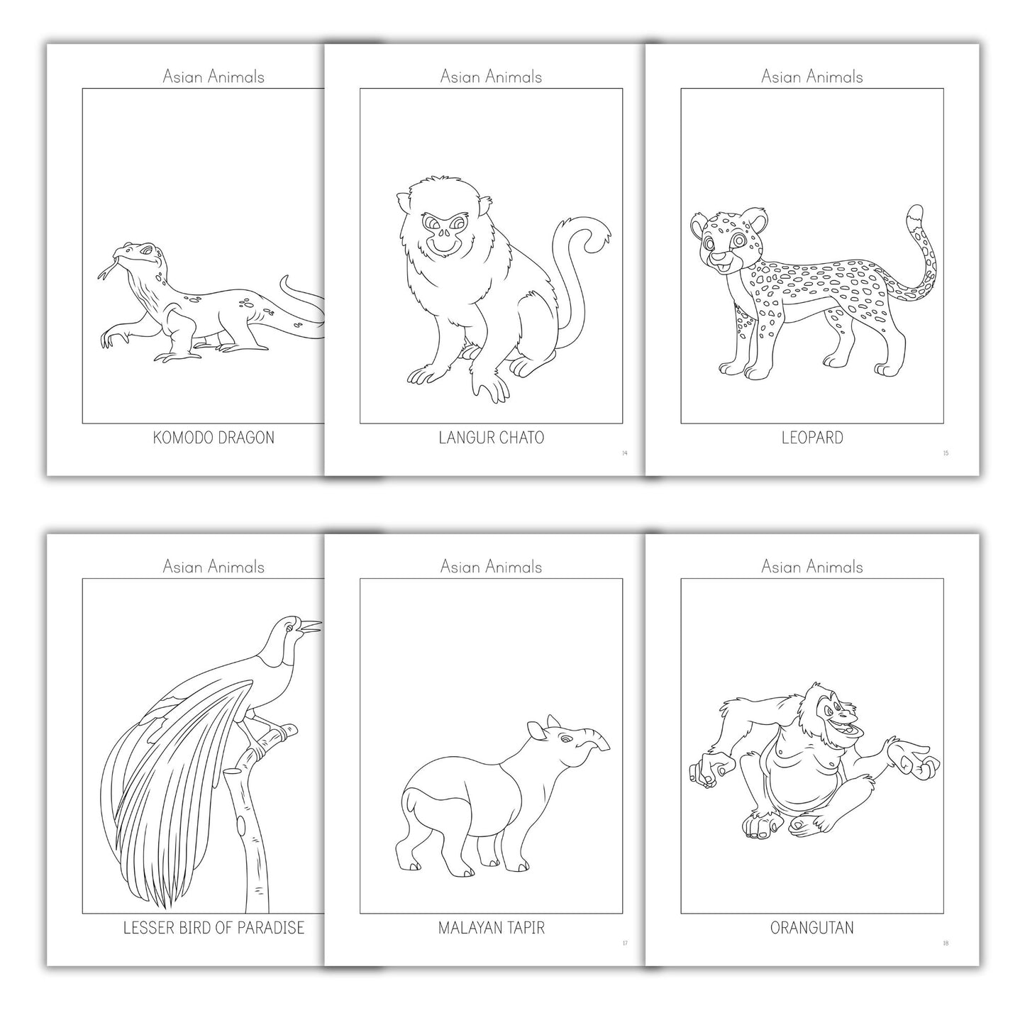 Asian Animals Coloring Books