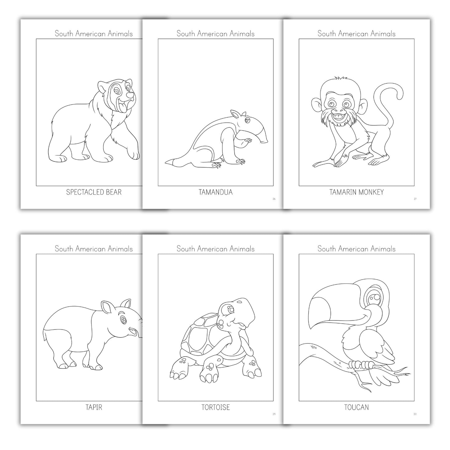 South American Animals Coloring Books