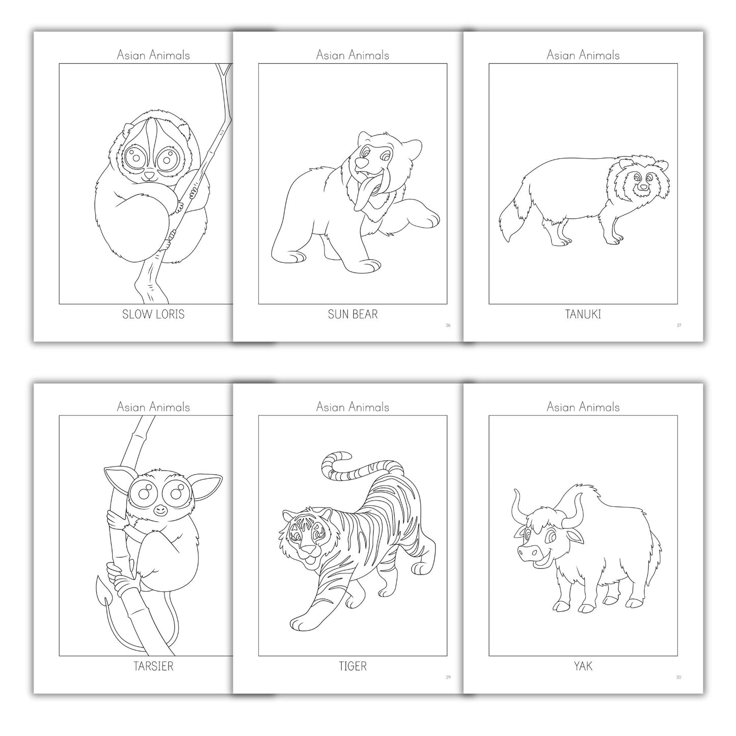 Asian Animals Coloring Books