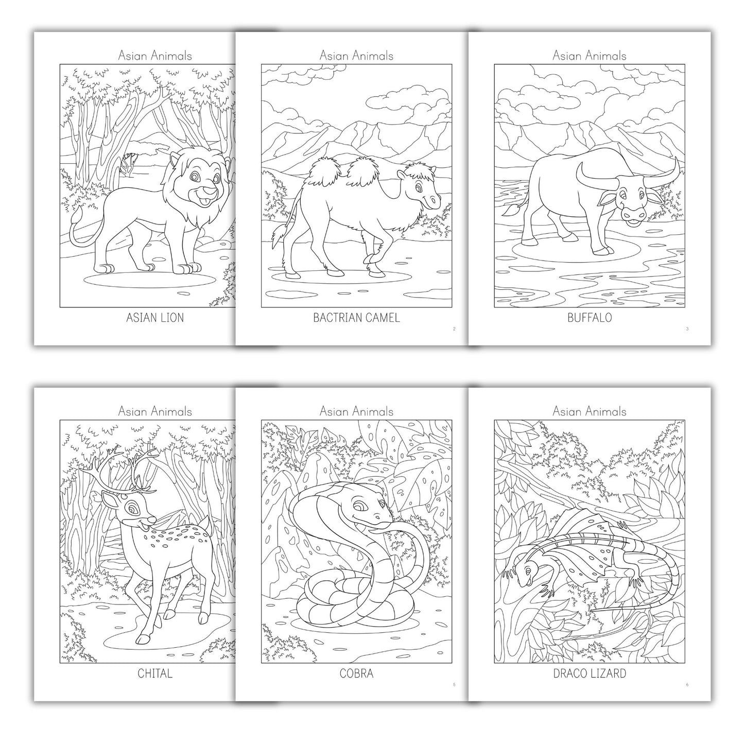 Asian Animals Coloring Books