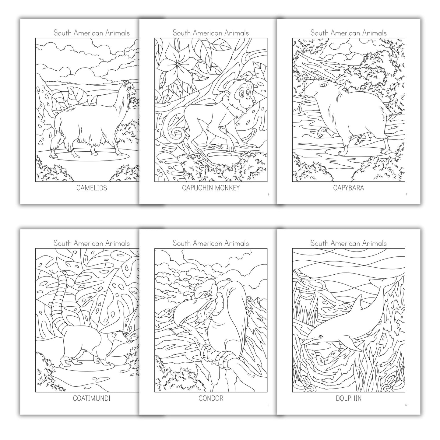 South American Animals Coloring Books