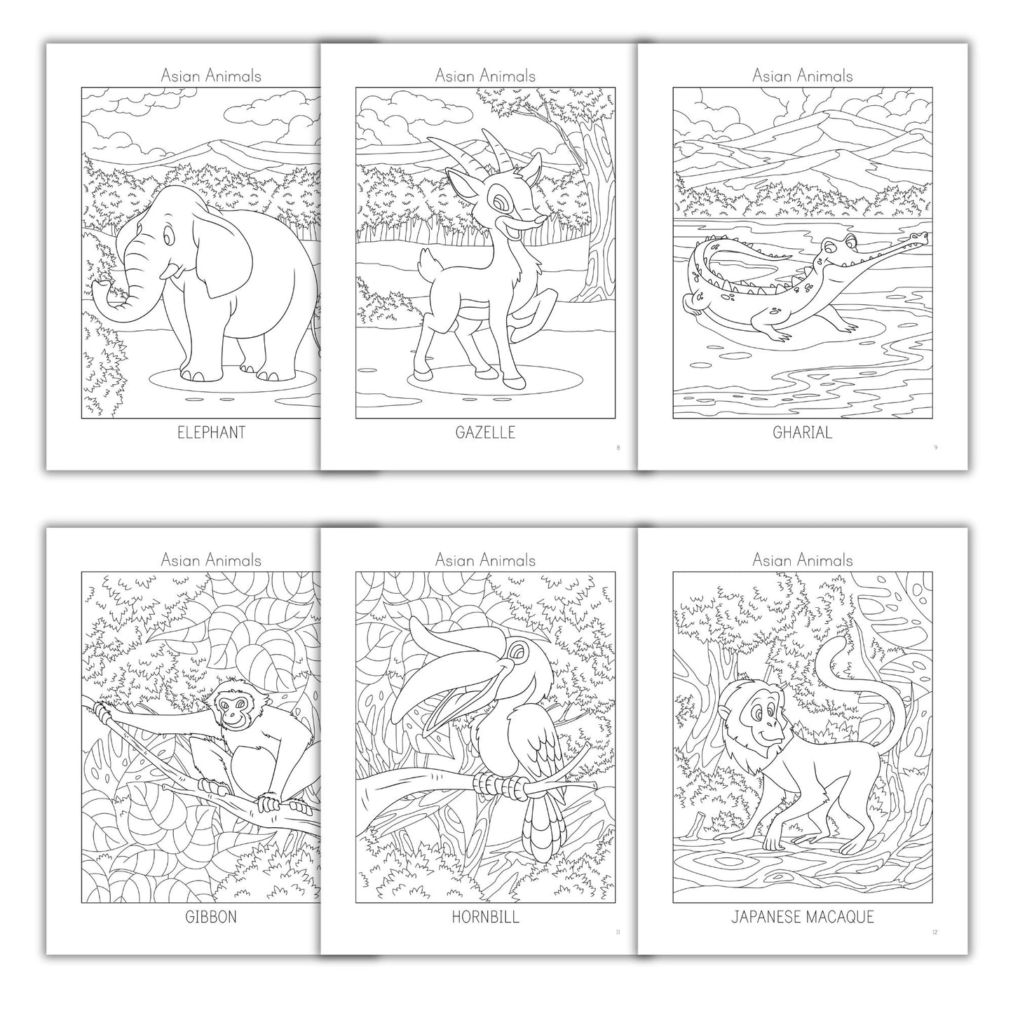 Asian Animals Coloring Books