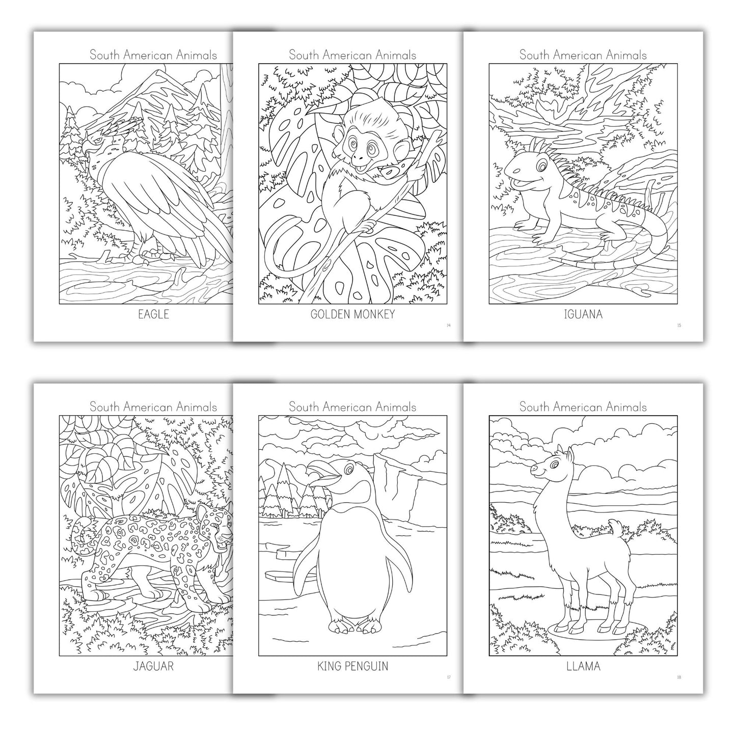 South American Animals Coloring Books