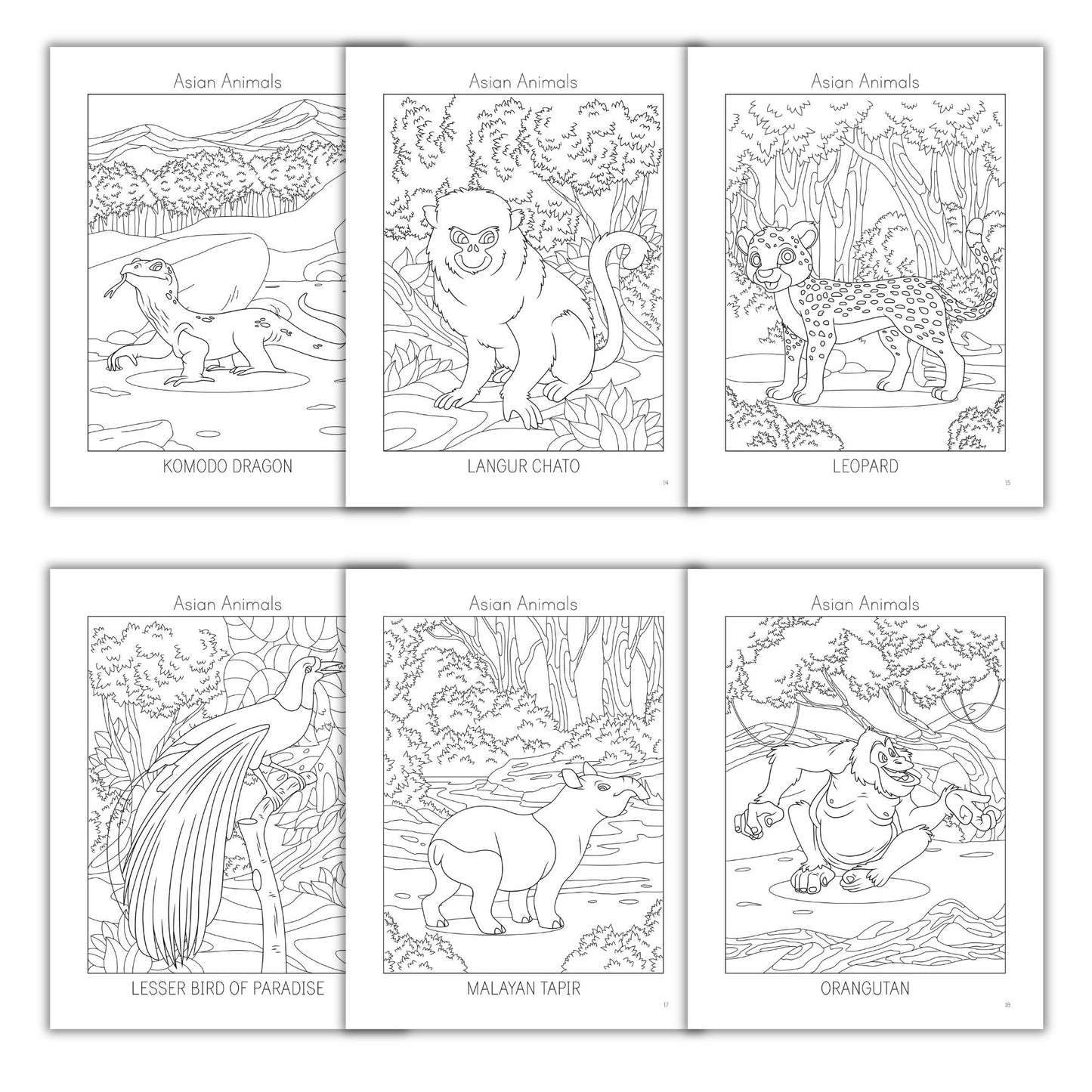 Asian Animals Coloring Books