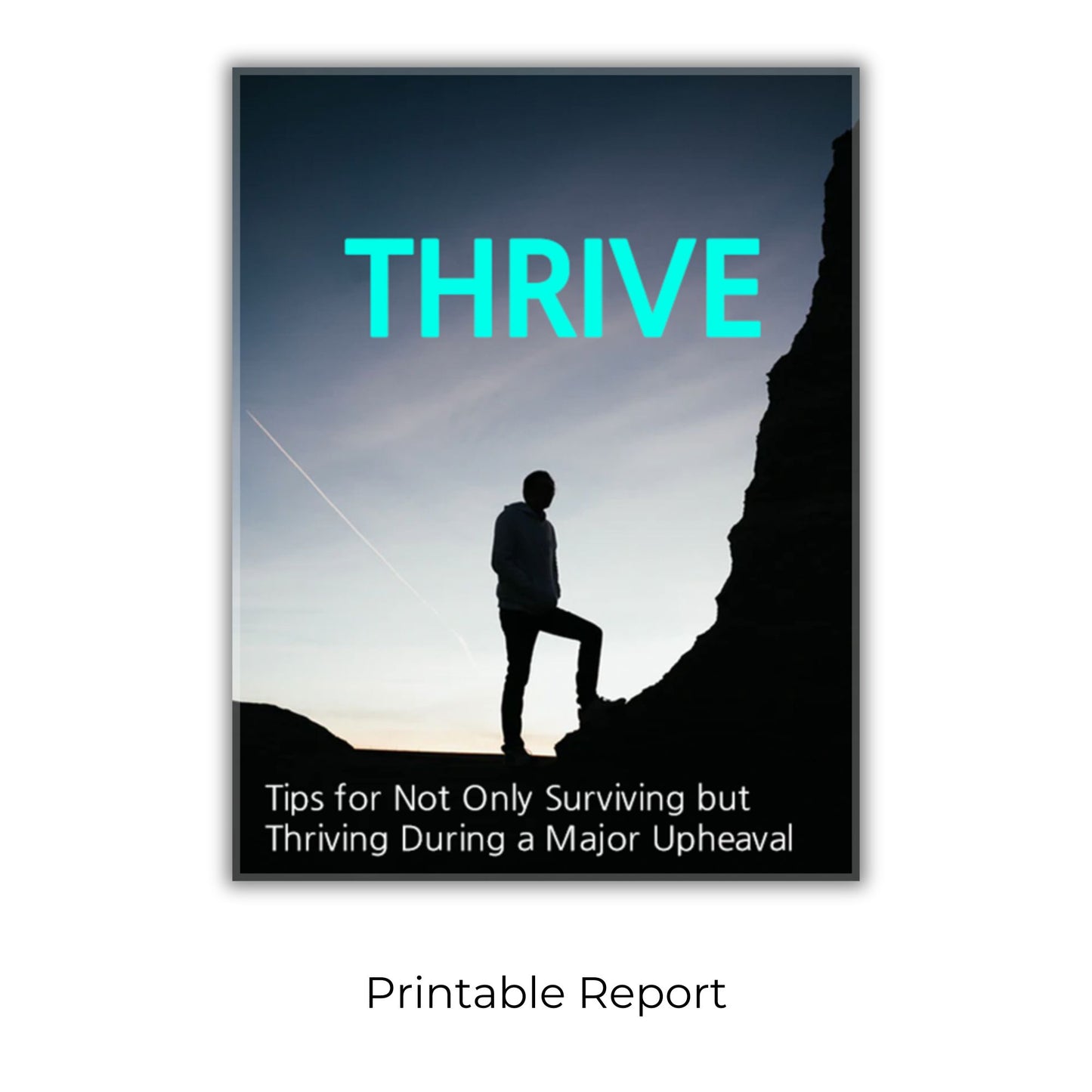 Upheaval: Dealing With Disruptions That Are Beyond Your Control