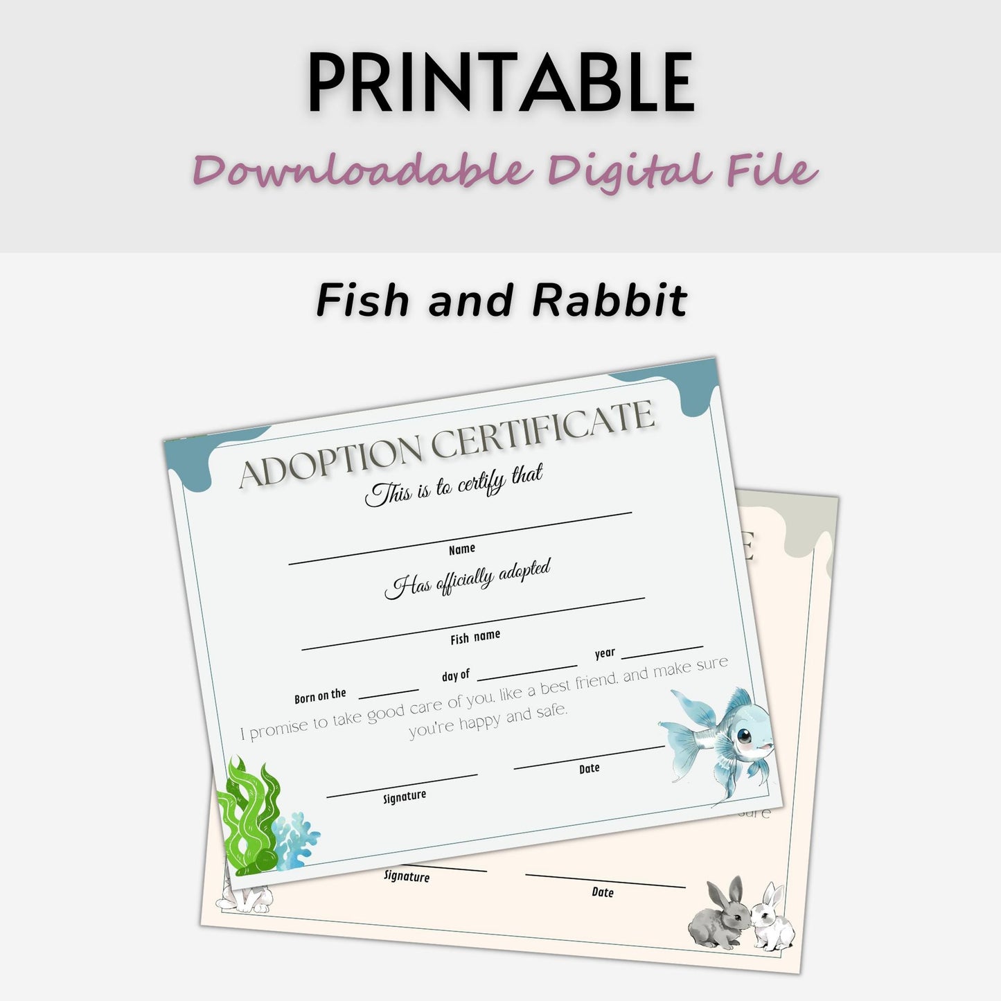 Pet Adoption Certificate Templates