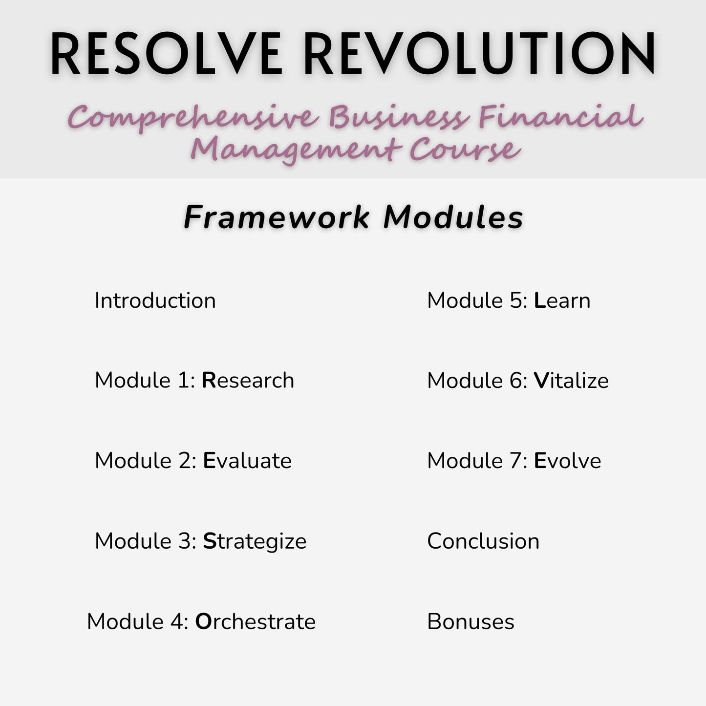 The RESOLVE Revolution Framework™ Comprehensive Business Financial Management Course