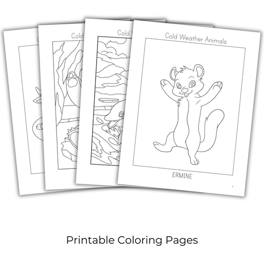 Cold Weather Animals Coloring Books