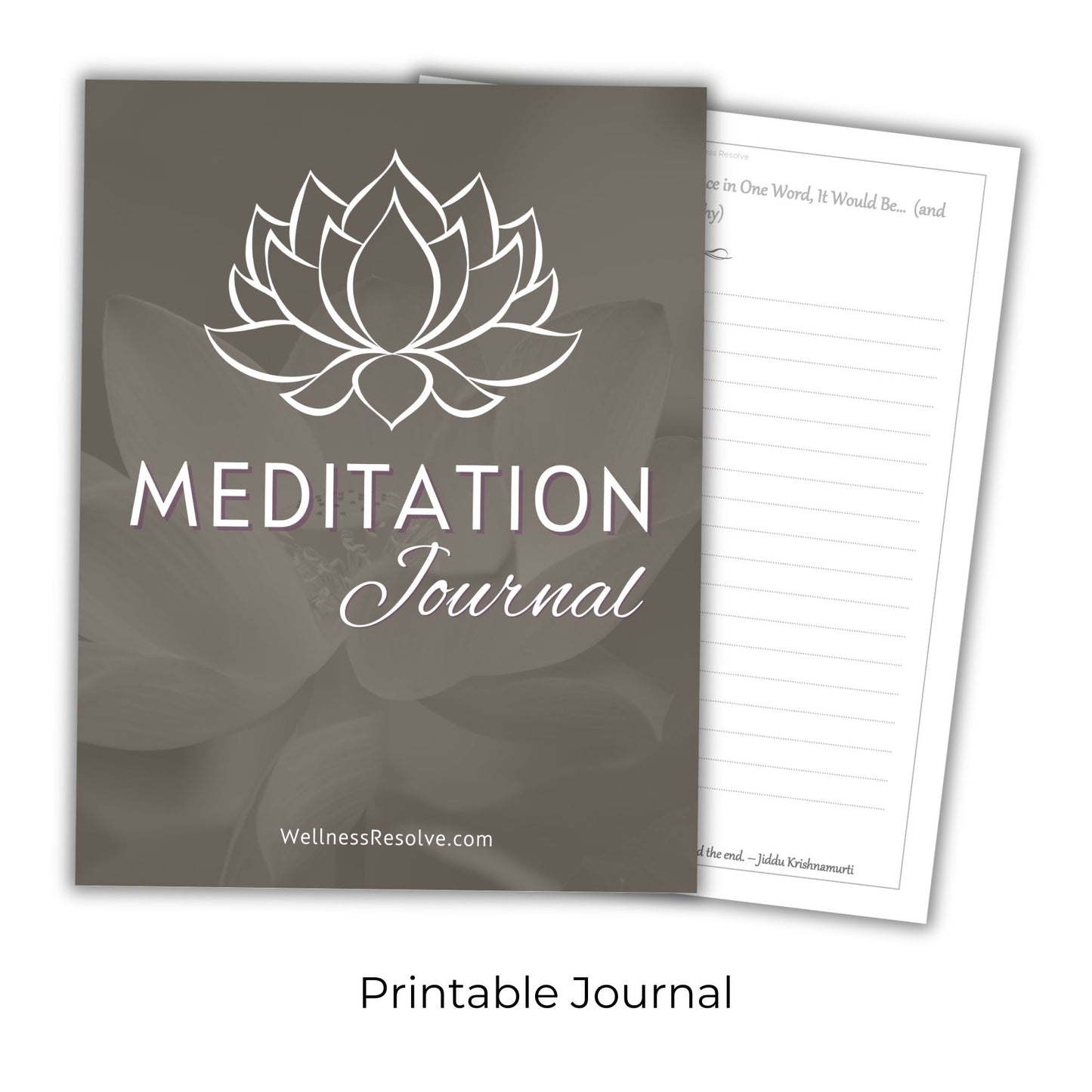 Meditation Journal