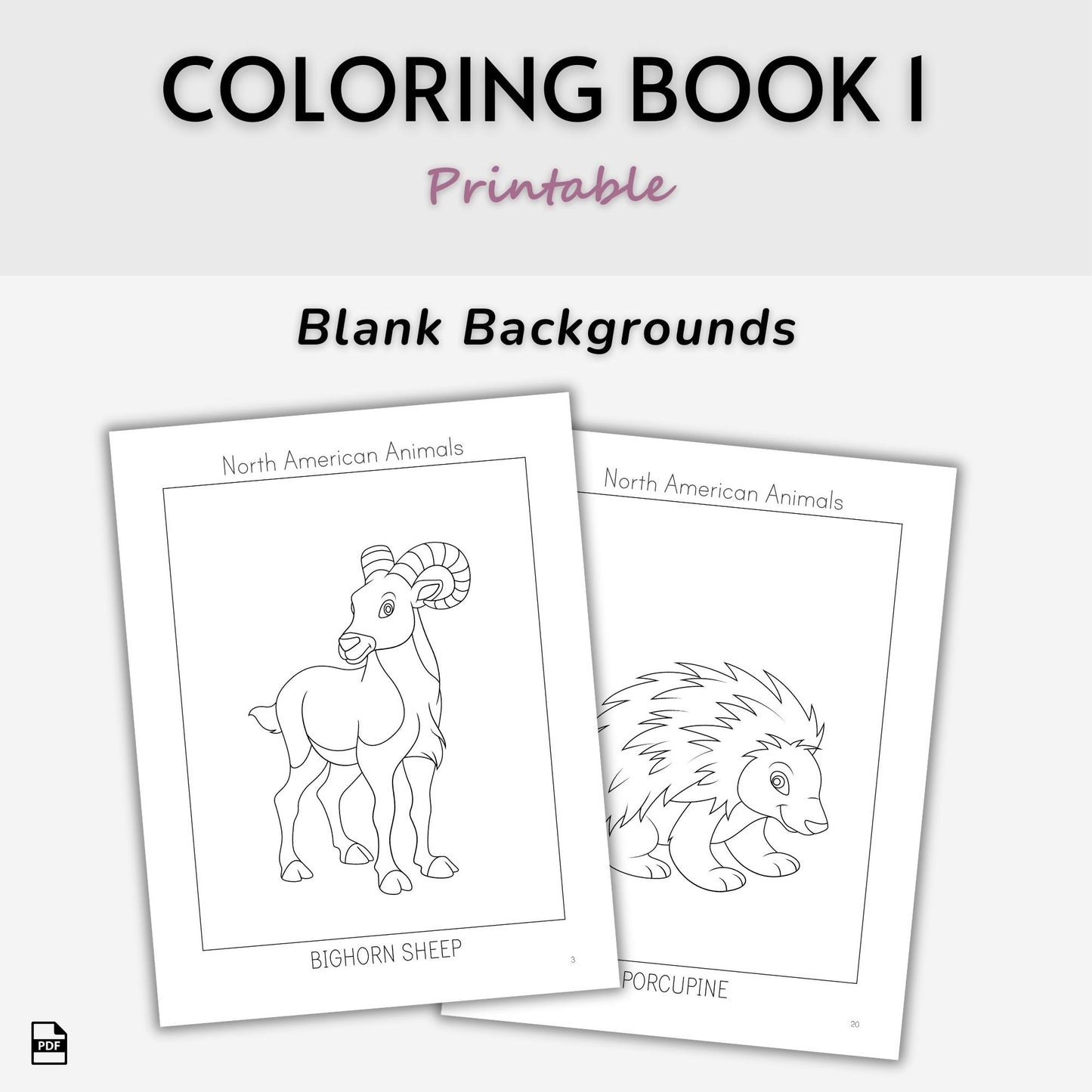 North American Animals Coloring Books