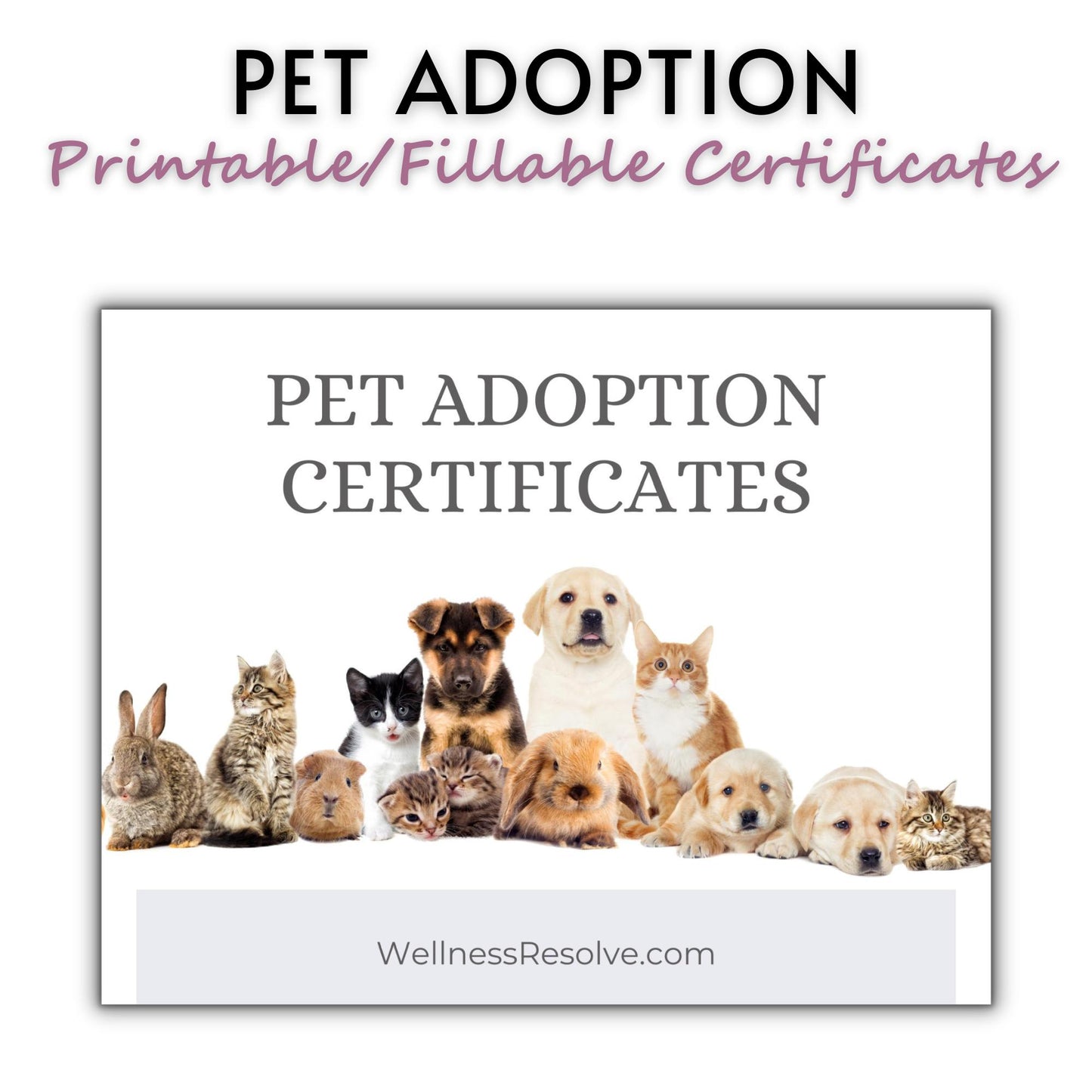 Pet Adoption Certificate Templates