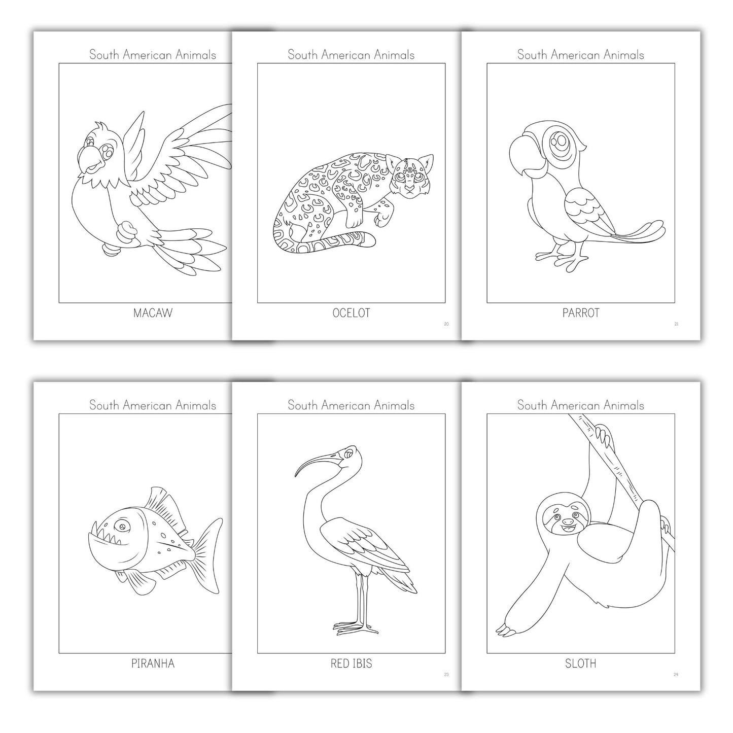 South American Animals Coloring Books