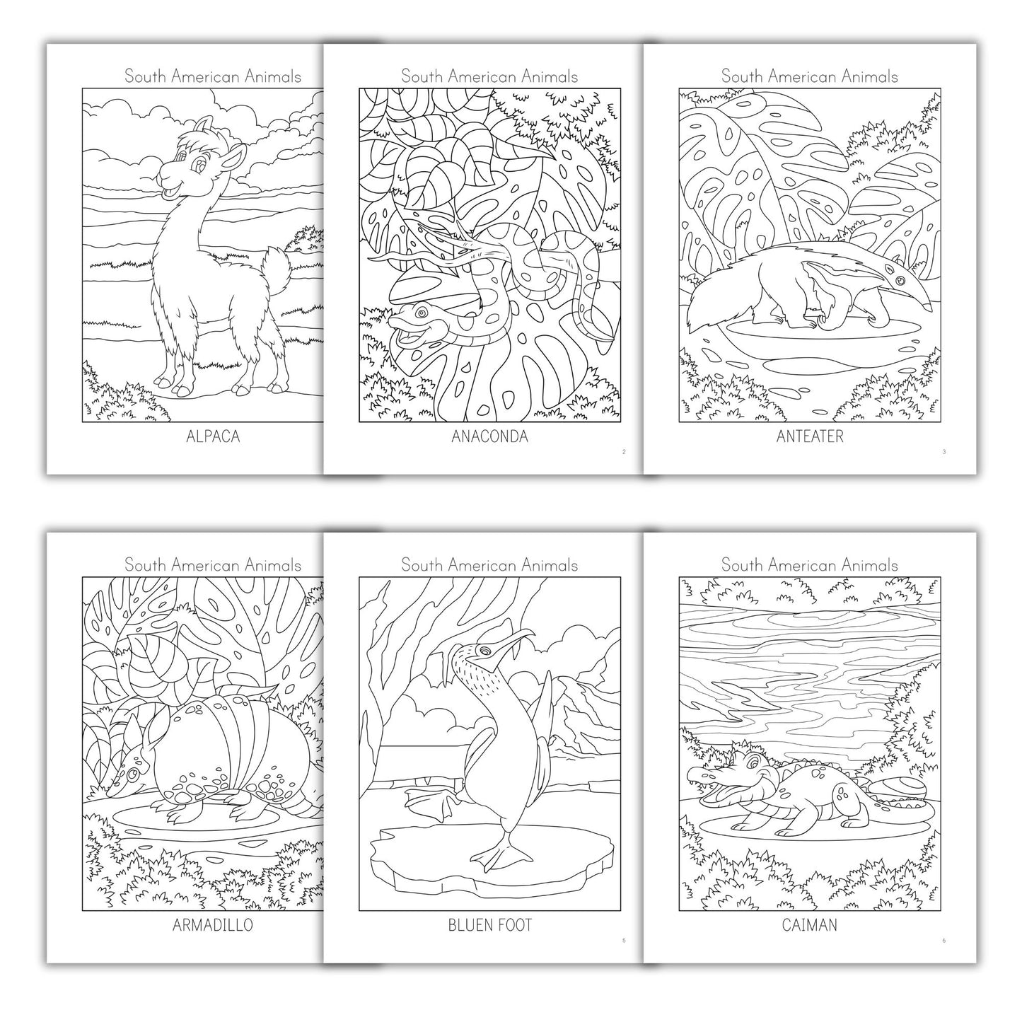 South American Animals Coloring Books