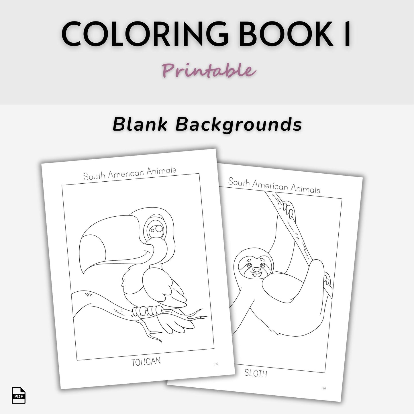 South American Animals Coloring Books