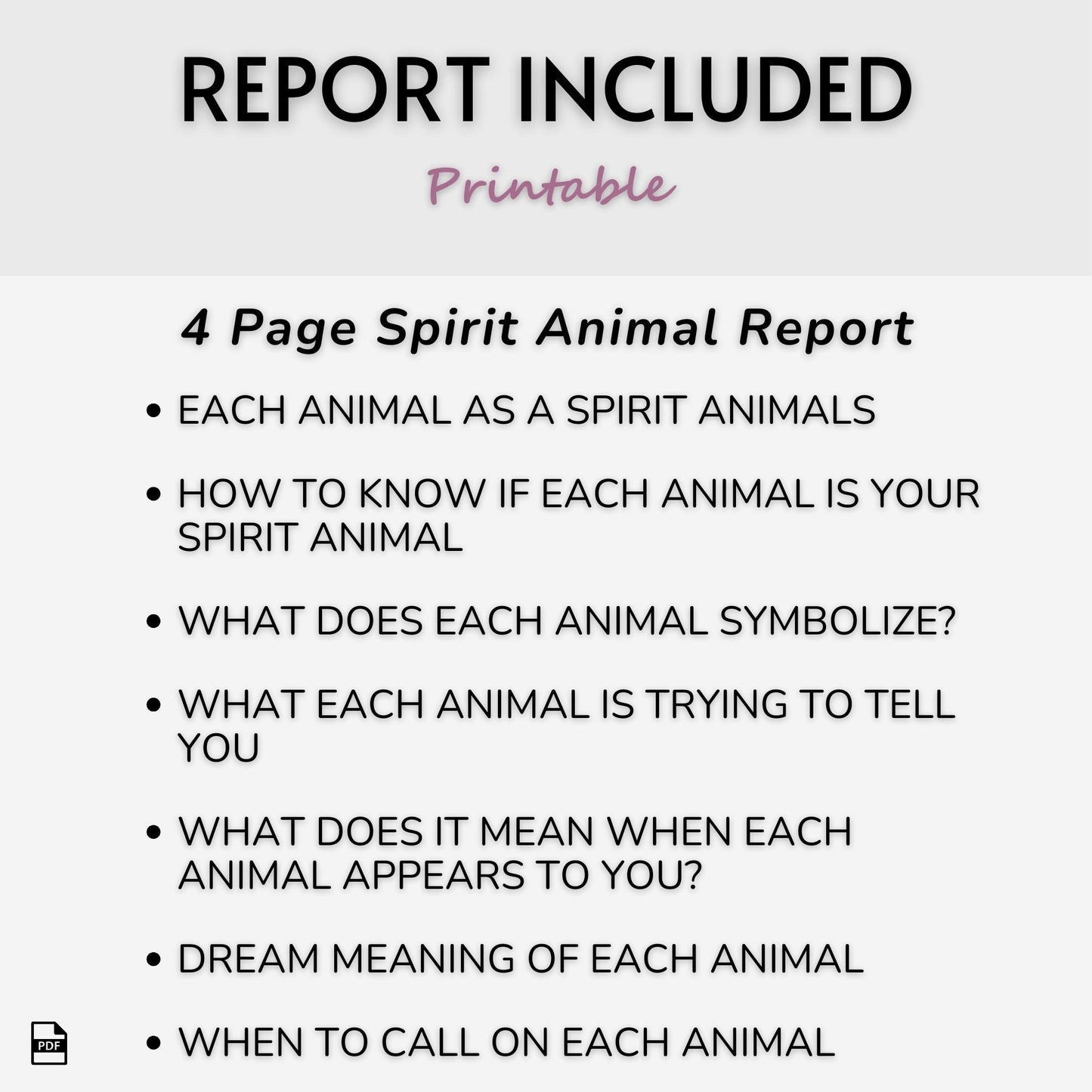 Spirit Animal Journal Starter Pack