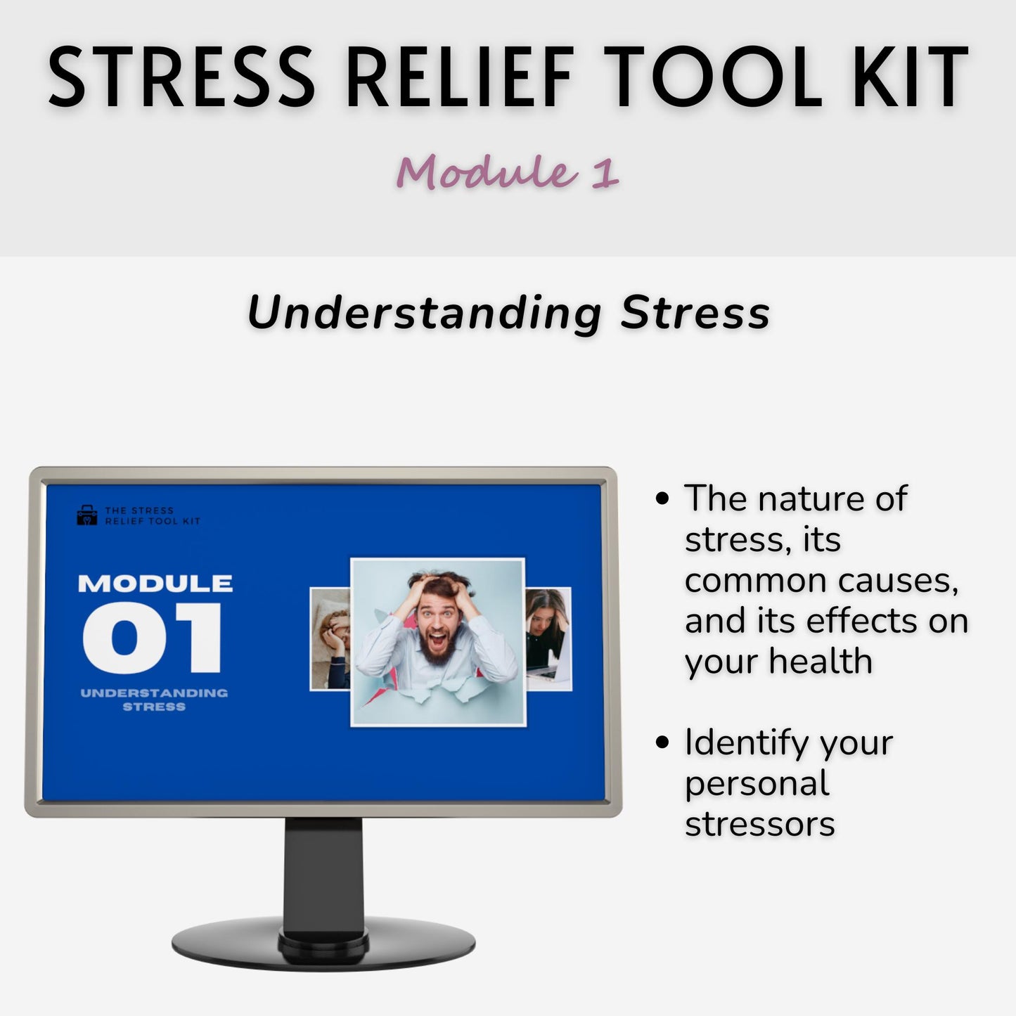 The Stress Relief Tool Kit: The Tools You Need To Effectively Reduce Stress in Your Life