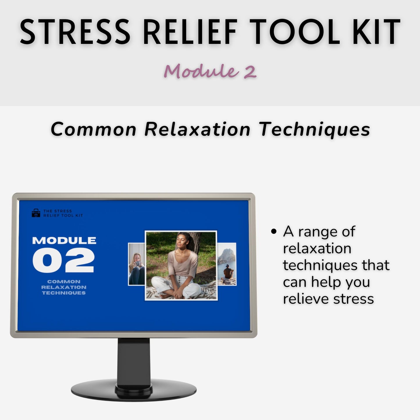 The Stress Relief Tool Kit: The Tools You Need To Effectively Reduce Stress in Your Life